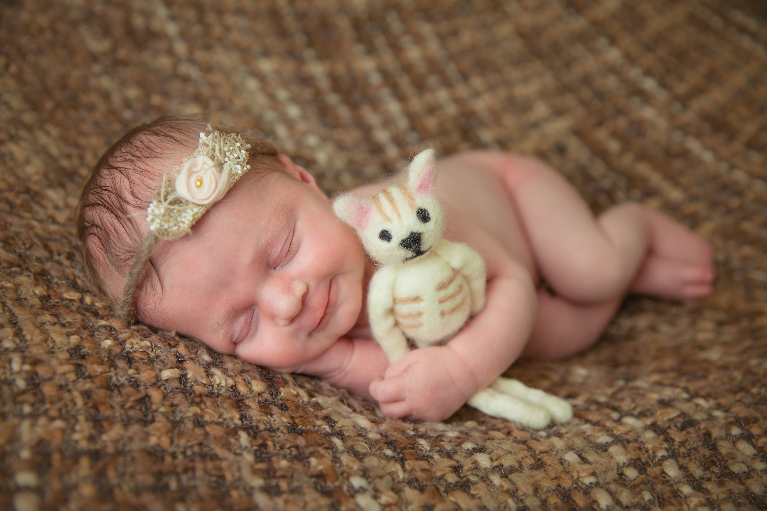 evangeline newborn -47.jpg