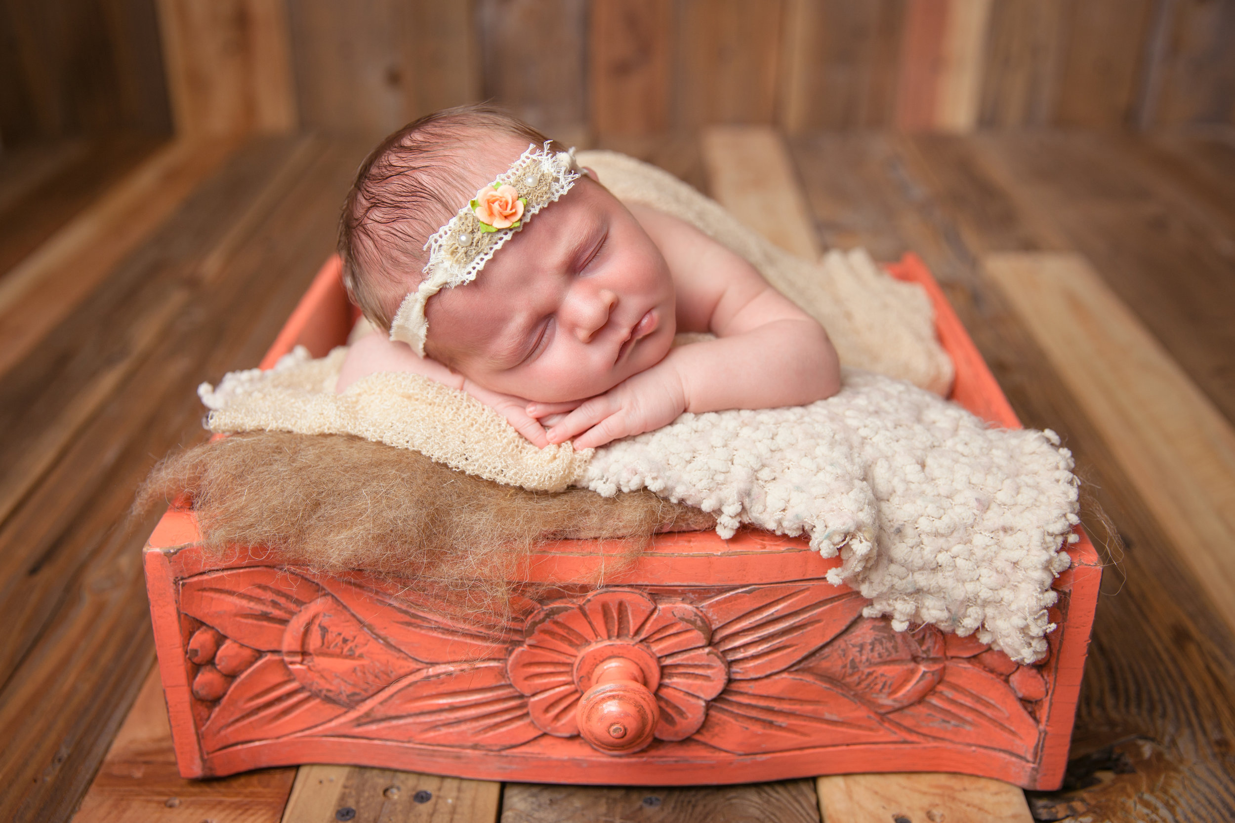 evangeline newborn -76.jpg