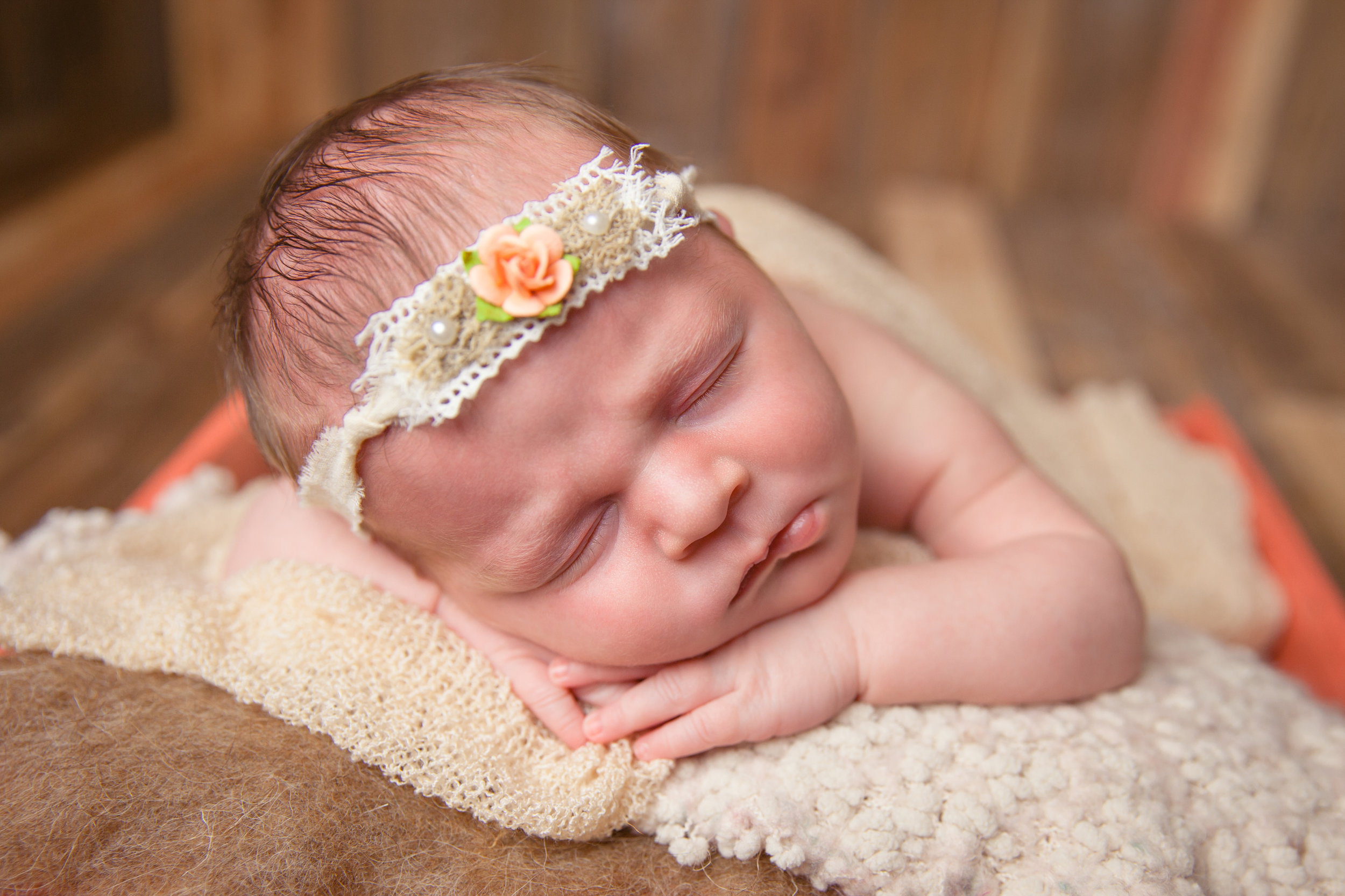 evangeline newborn -77.jpg