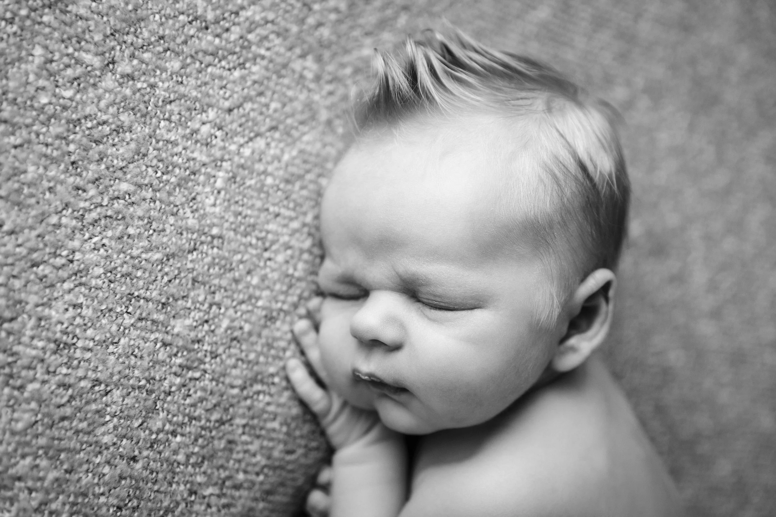 royal newborn photo (22).jpg