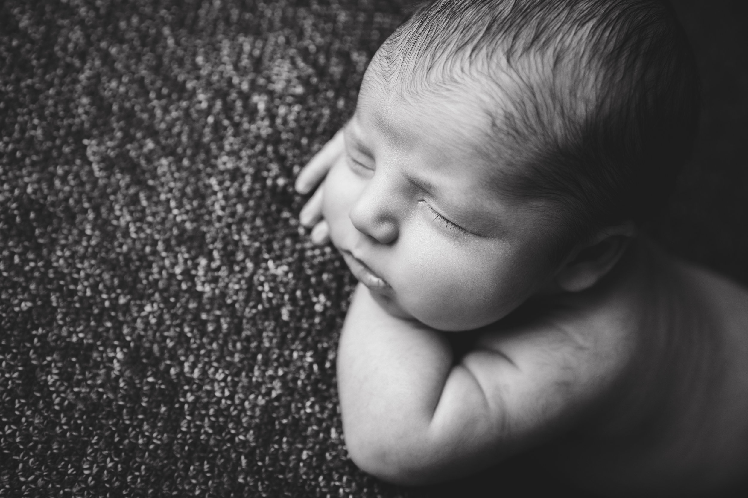 river newborn photo  (40).jpg