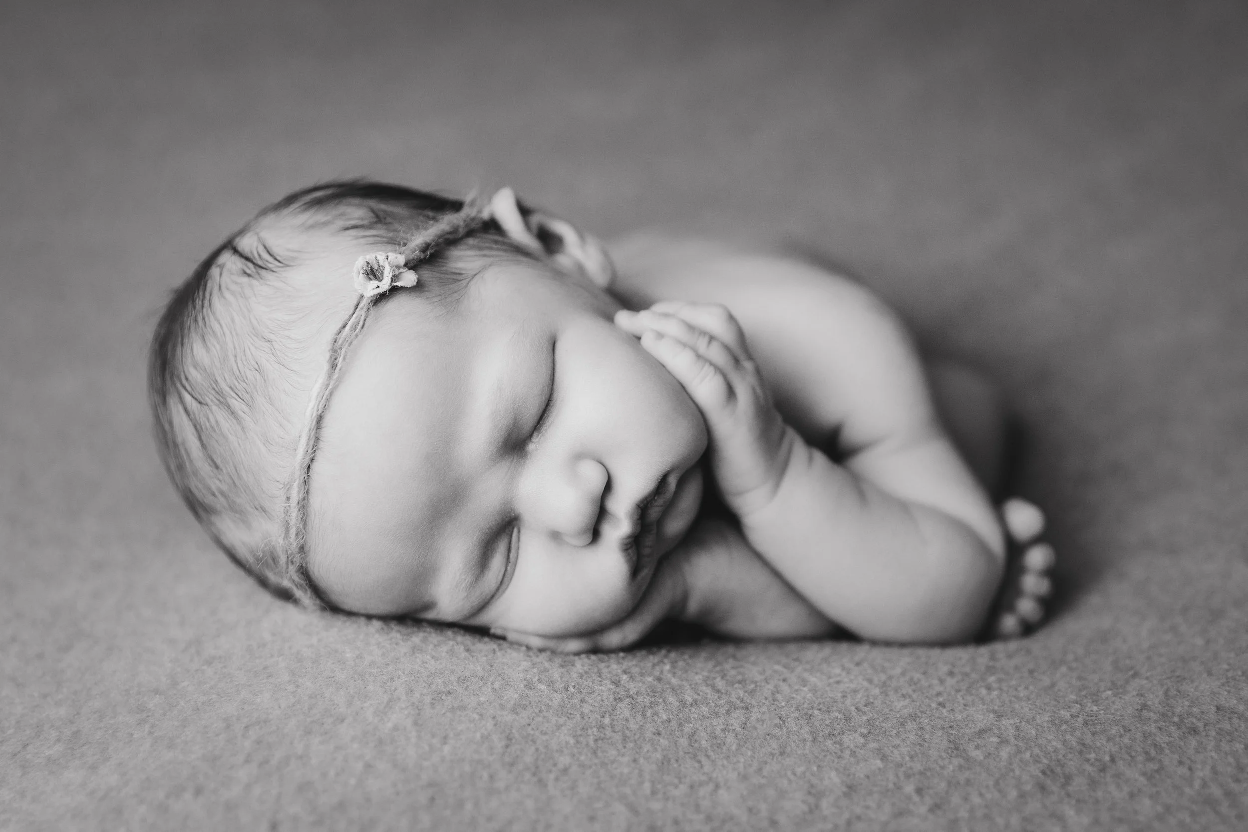 molly newborn photo (5).jpg
