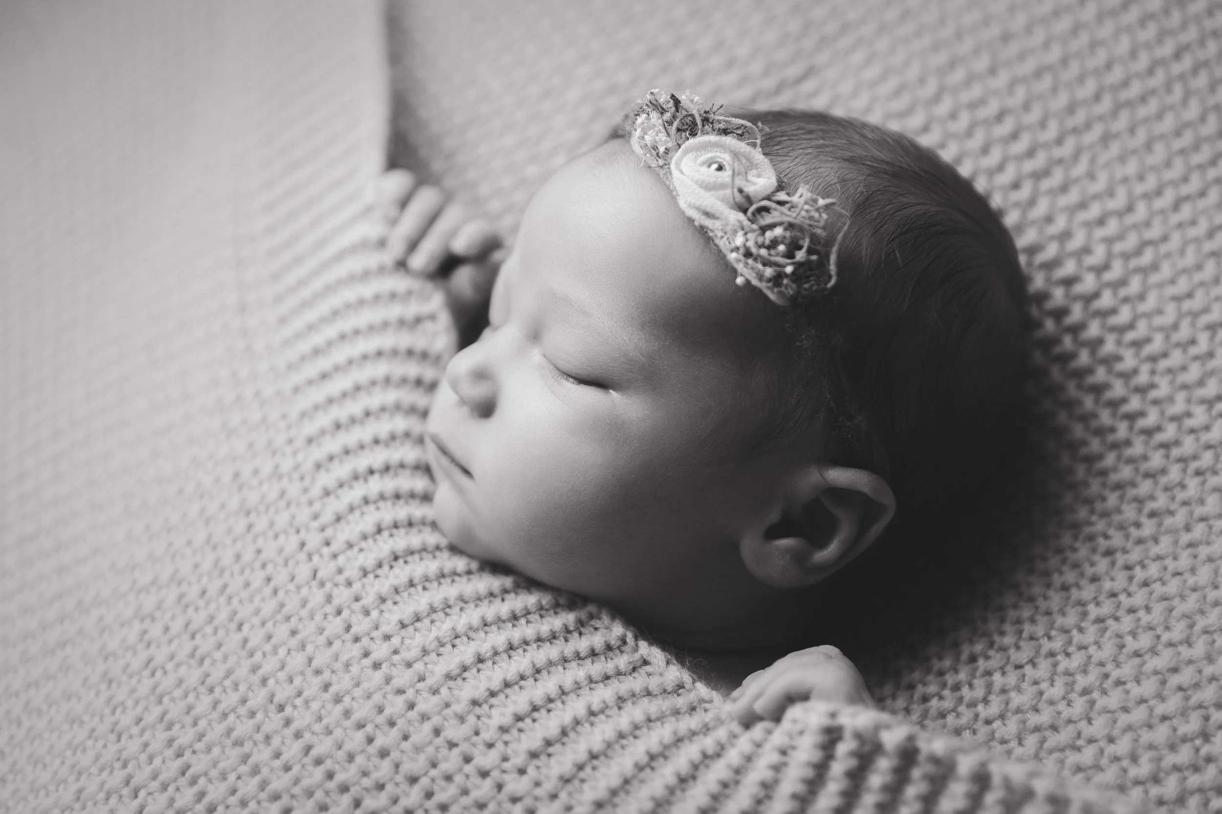 molly newborn photo (46).jpg