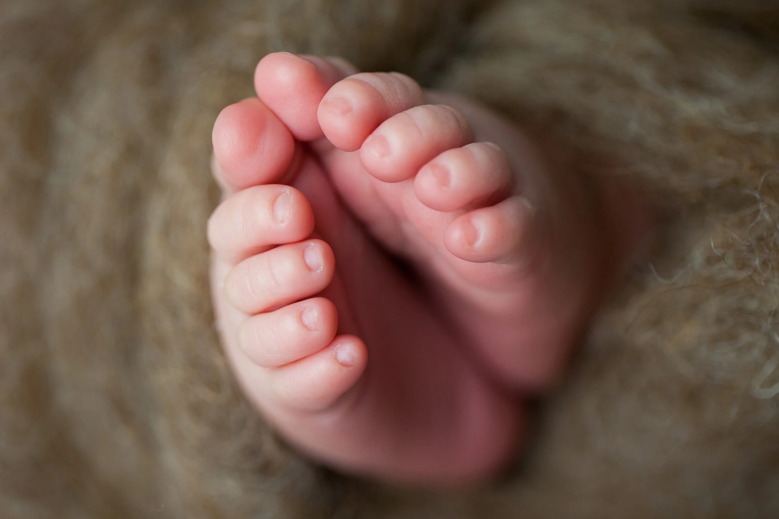 molly newborn photo (57).jpg