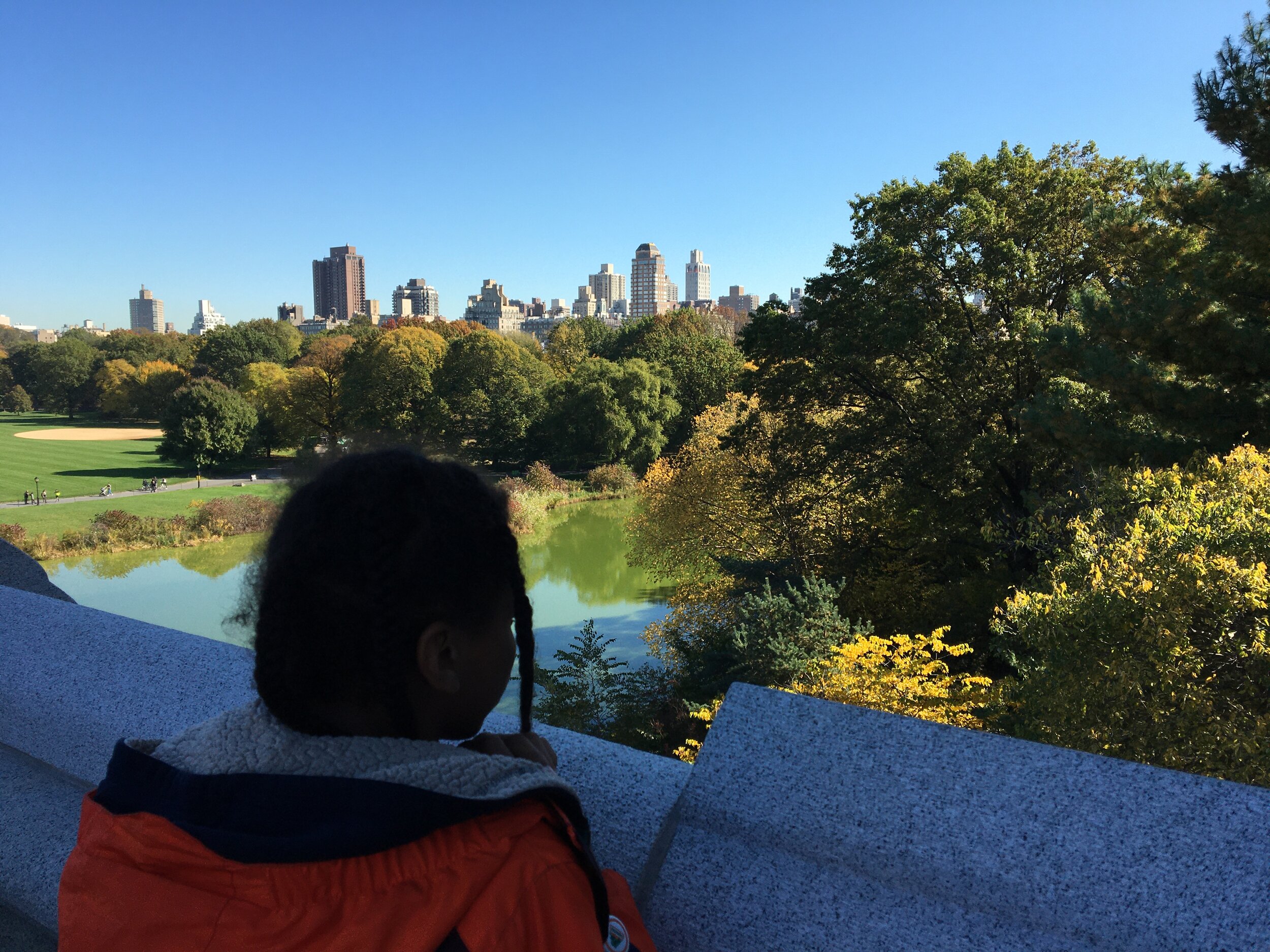 [Image description: the back of Sterling’s head, looking over the stone wall at the yellow and green trees of Central Park, the Turtle pond, and the city skyline above it]