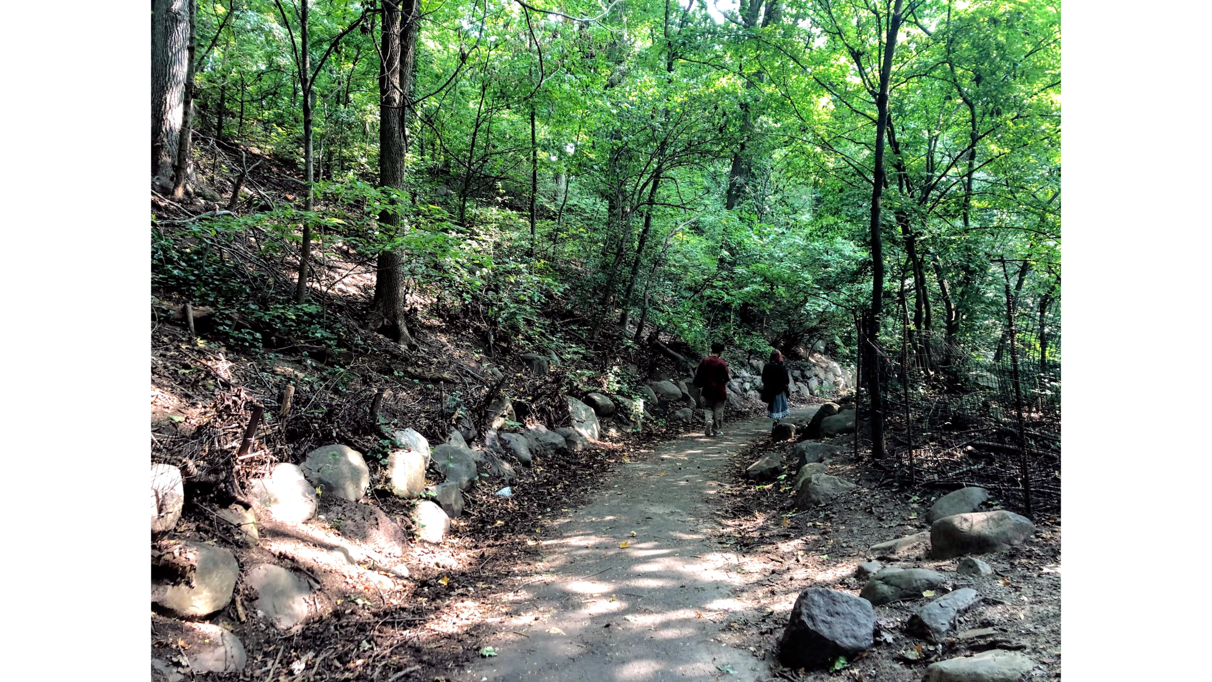 Image description: a concrete path through green woods, lined with boulders. In the distance, two teens are walking with their backs to the camera