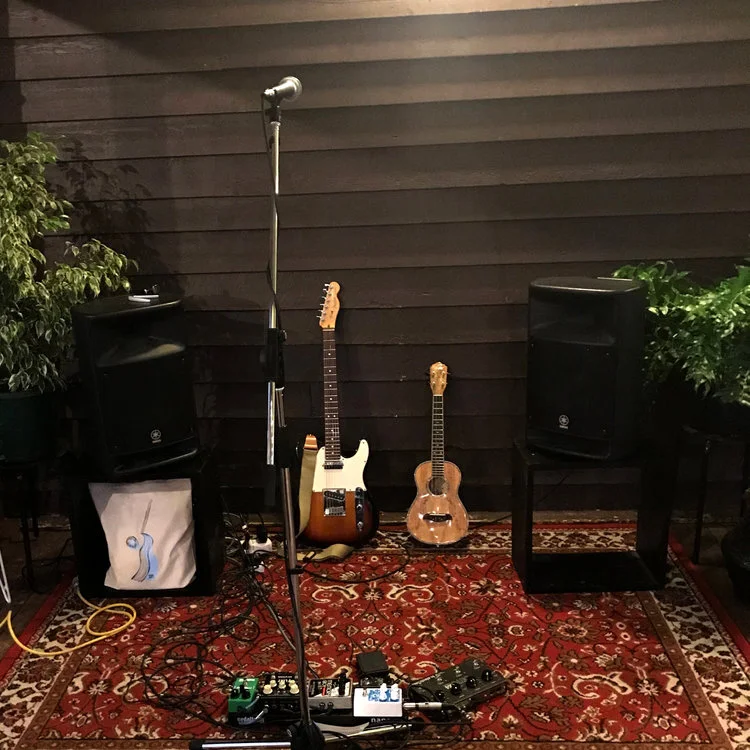 Ukulele Group Workshop