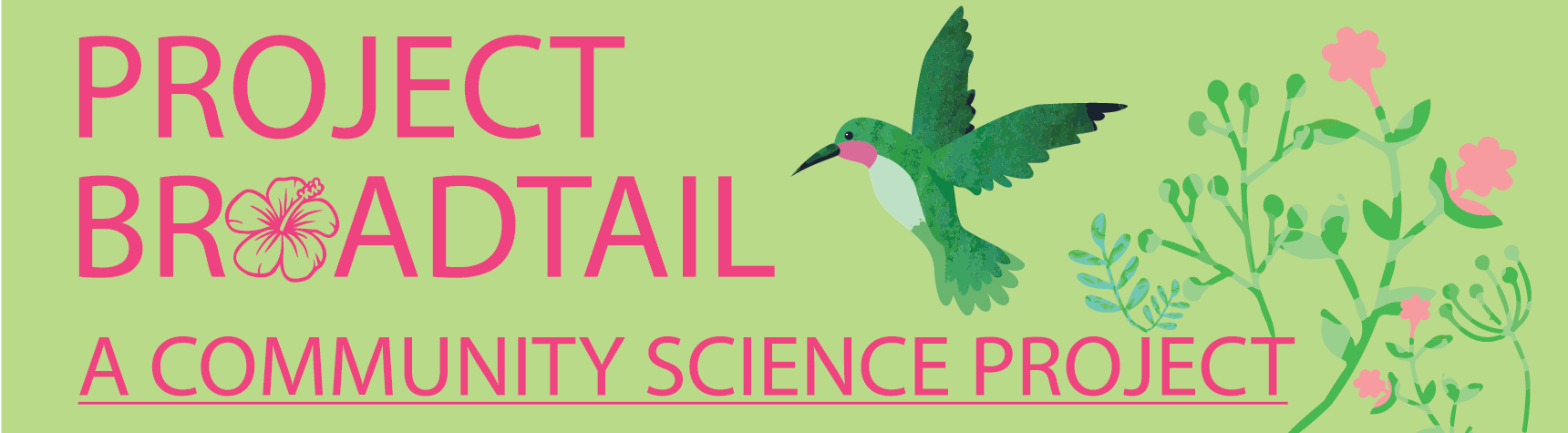 ProBroadtail_Banner2-01.png