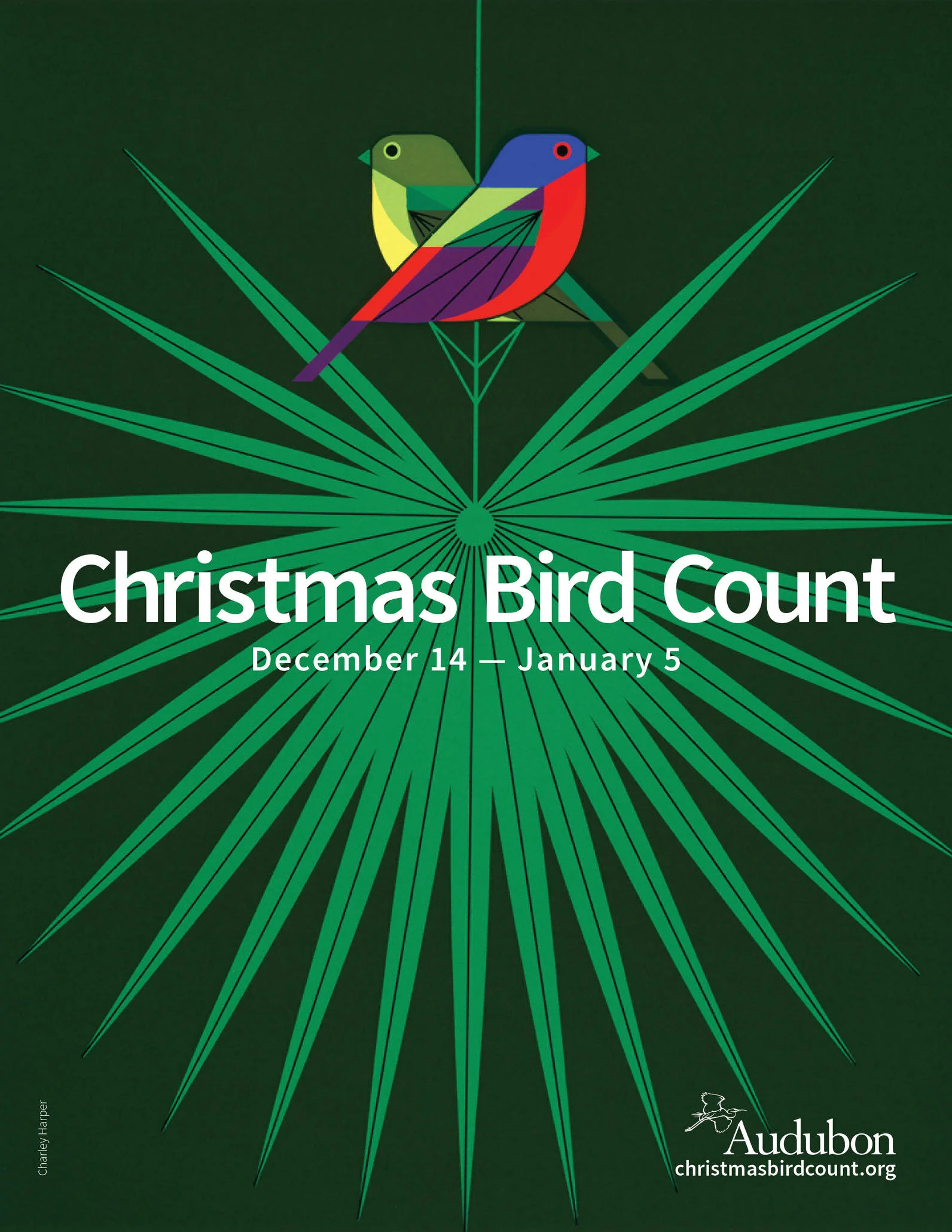 Christmas Bird Count for Kids