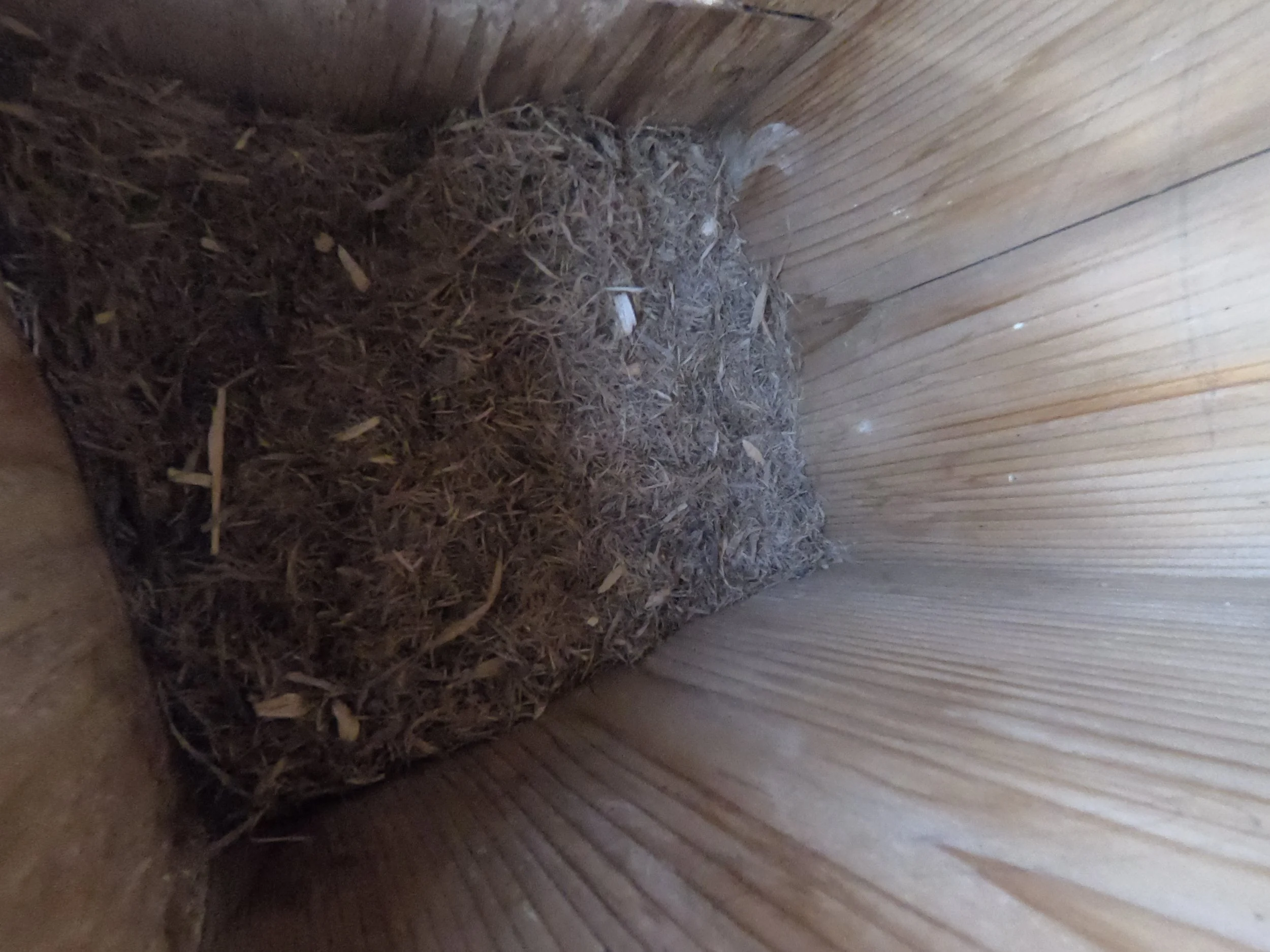 Empty Kestrel Box Interior