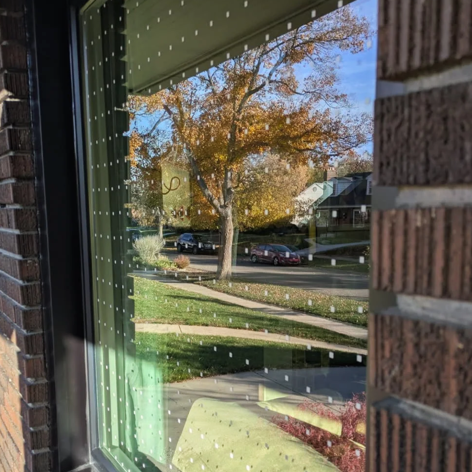 Preventing Window Collisions — Tracy Aviary Conservation Science