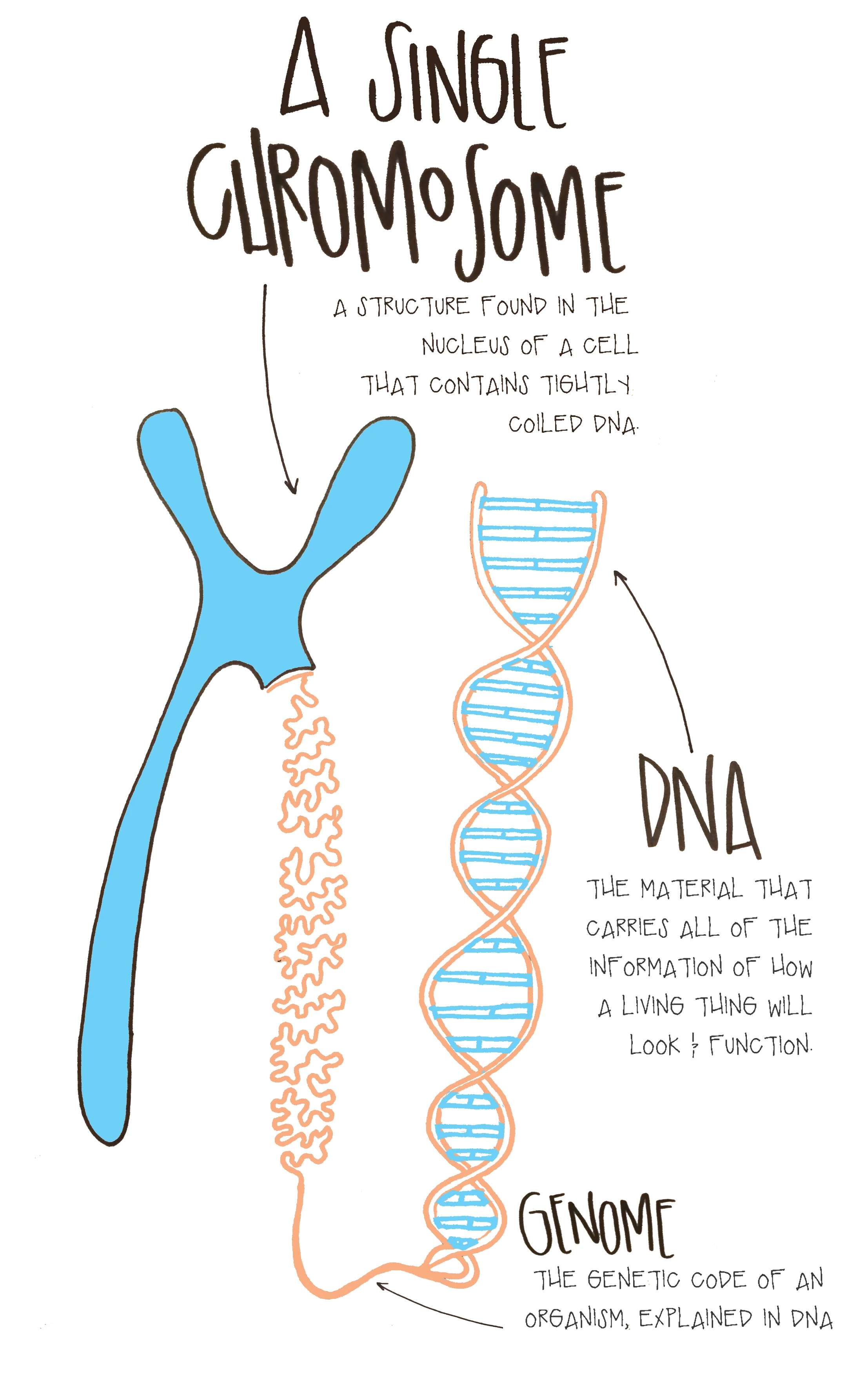Click on the image for a full-size version. 
