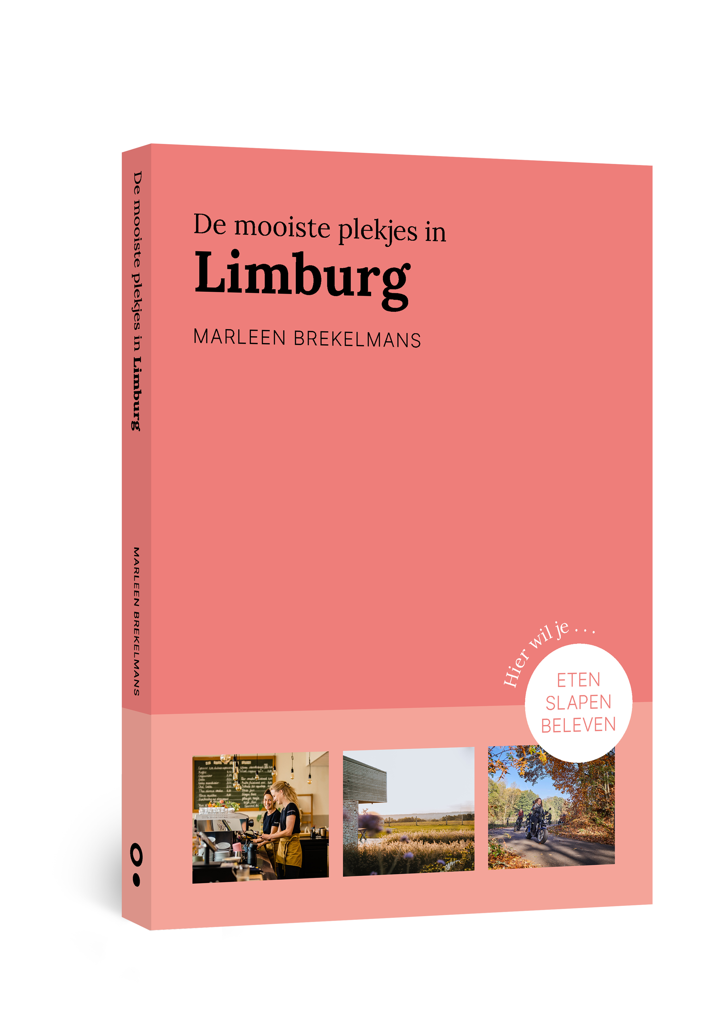 Provinciegids Limburg.png
