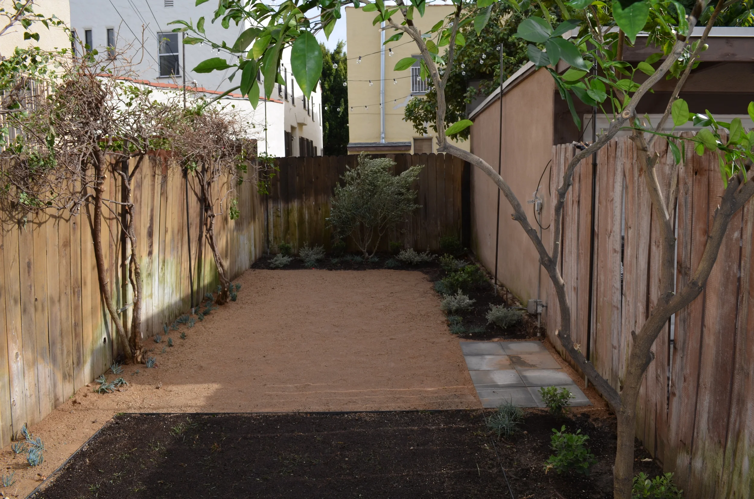  1ST DAY AFTER TRANSFORMATION 