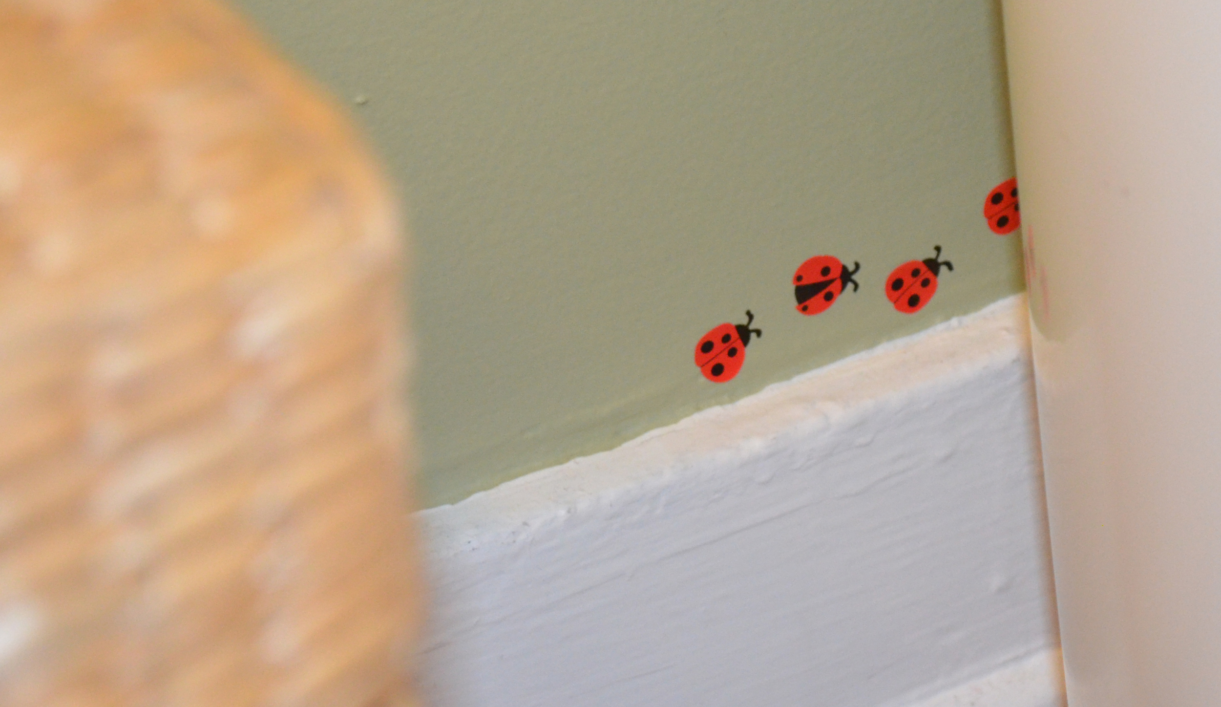 lady bugs 1 DSC_6341.JPG