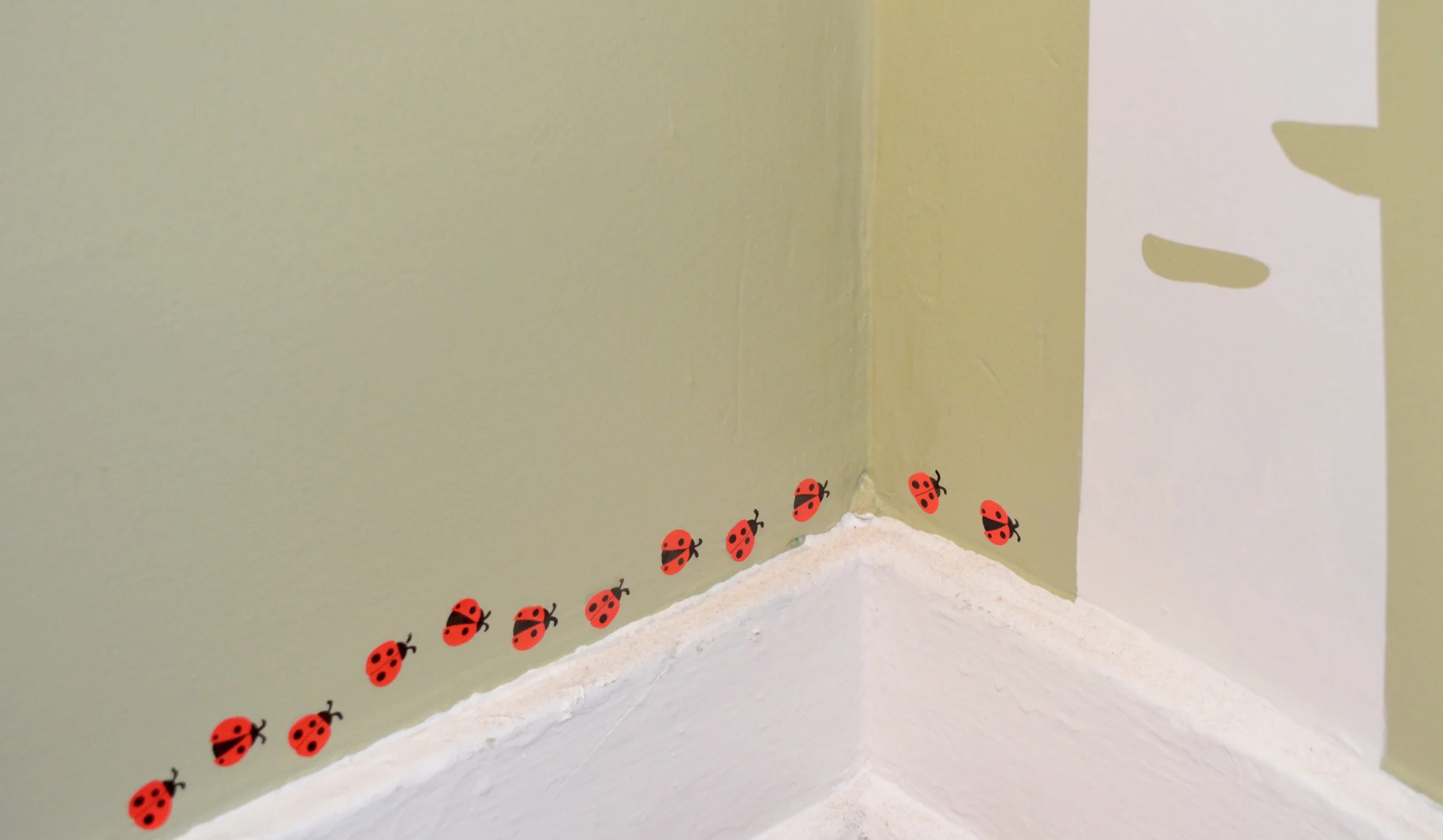 lady bugs 2 DSC_6345.JPG