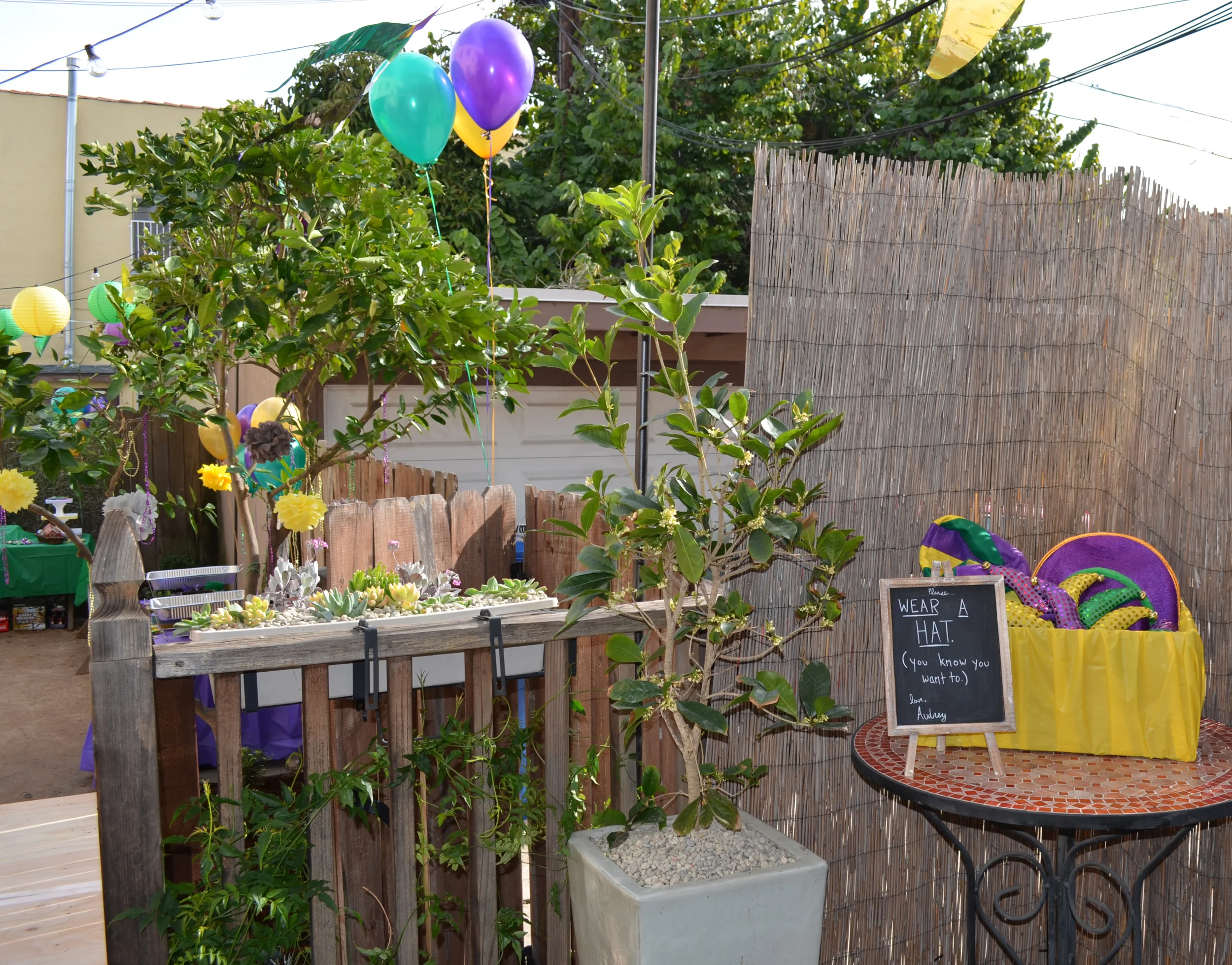hat table 1 DSC_7604.JPG