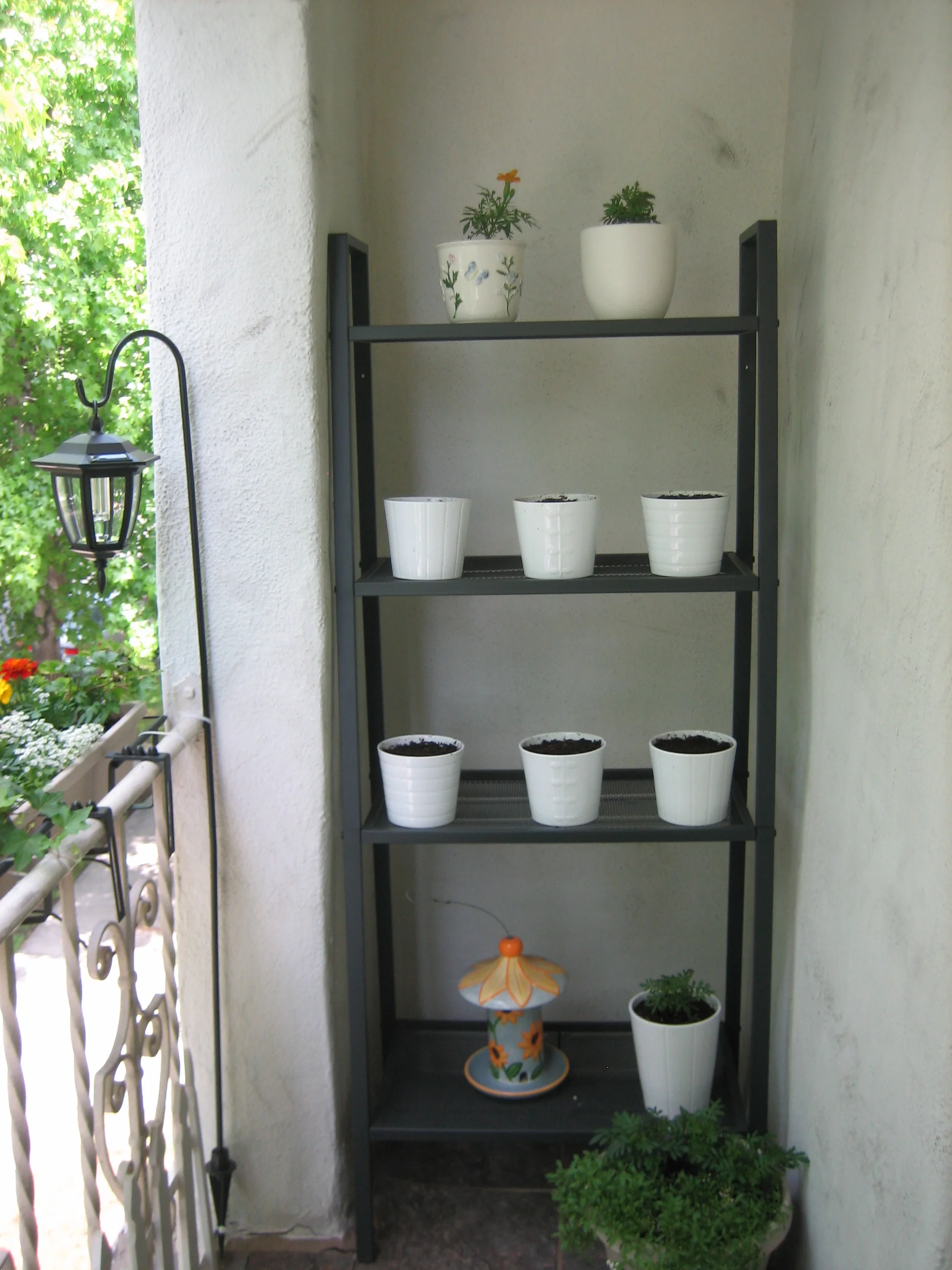  An outdoor shelf became a perfect place for the couple to start an herb garden.  Beautiful and fragrant Marigolds and Elysium filled the flower boxes with ivy to trail down the sides.  The solar lanterns gave a soft glow at night, which created a lo