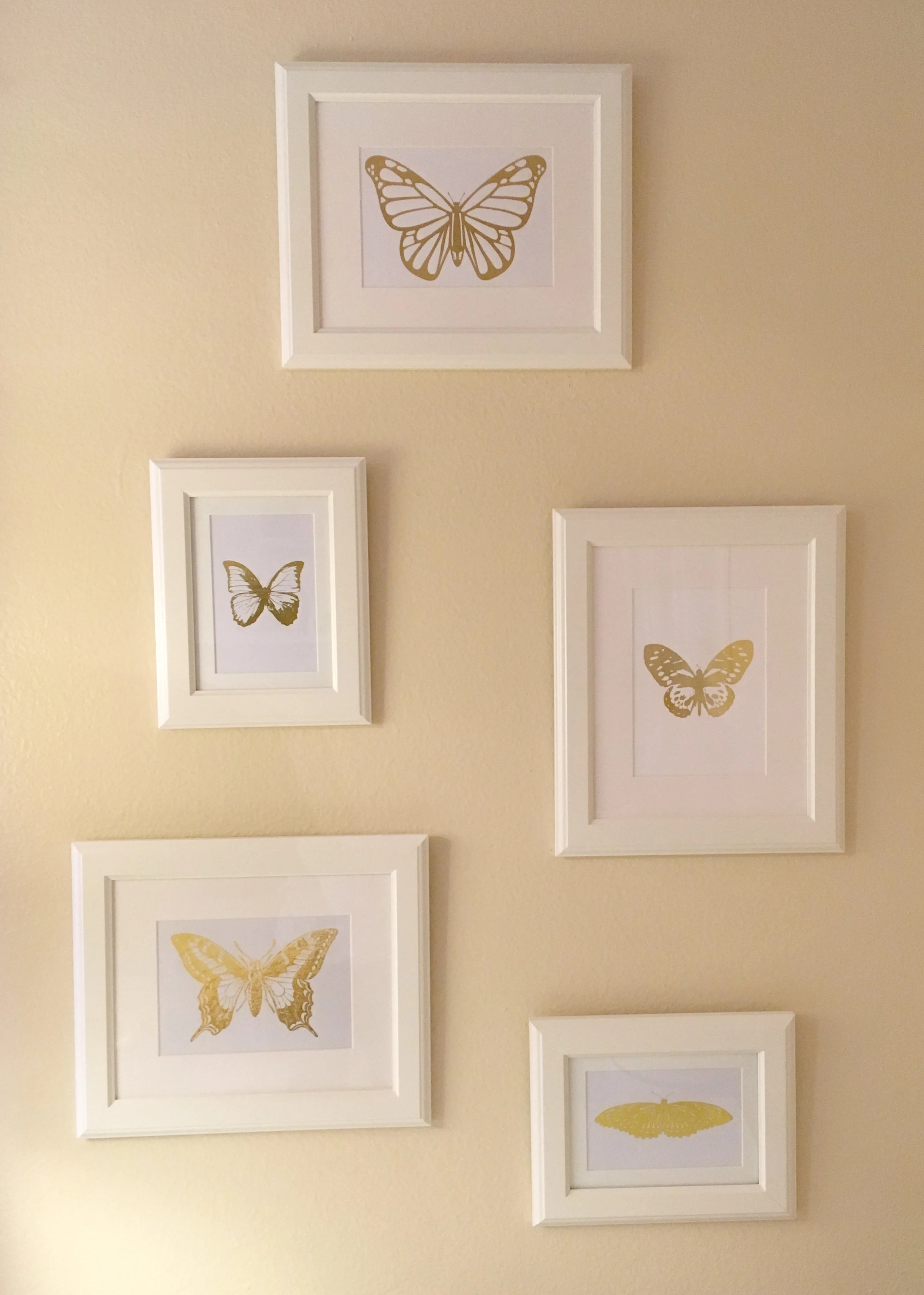 framed butterflies 3.JPG