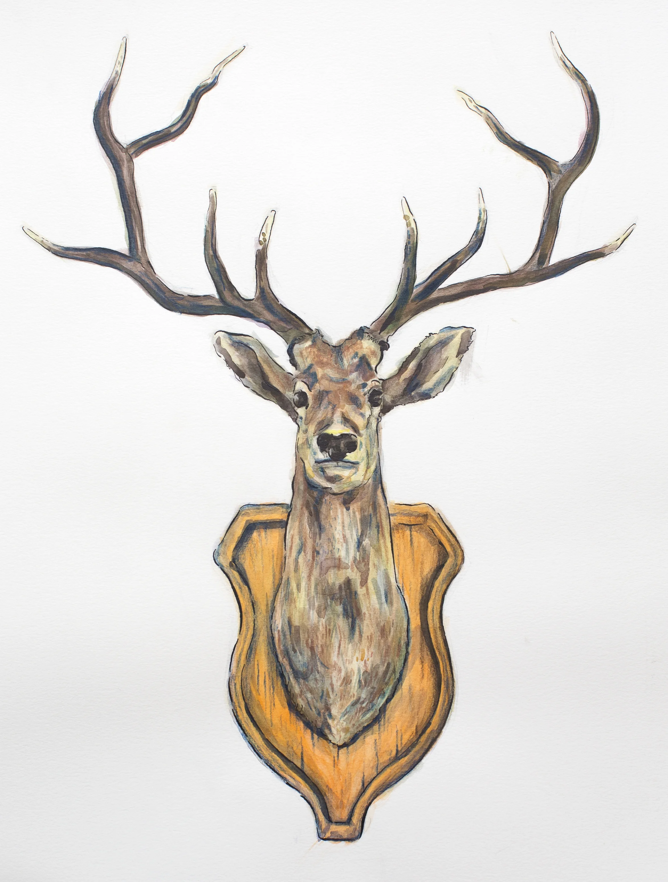 DeerHead.jpg
