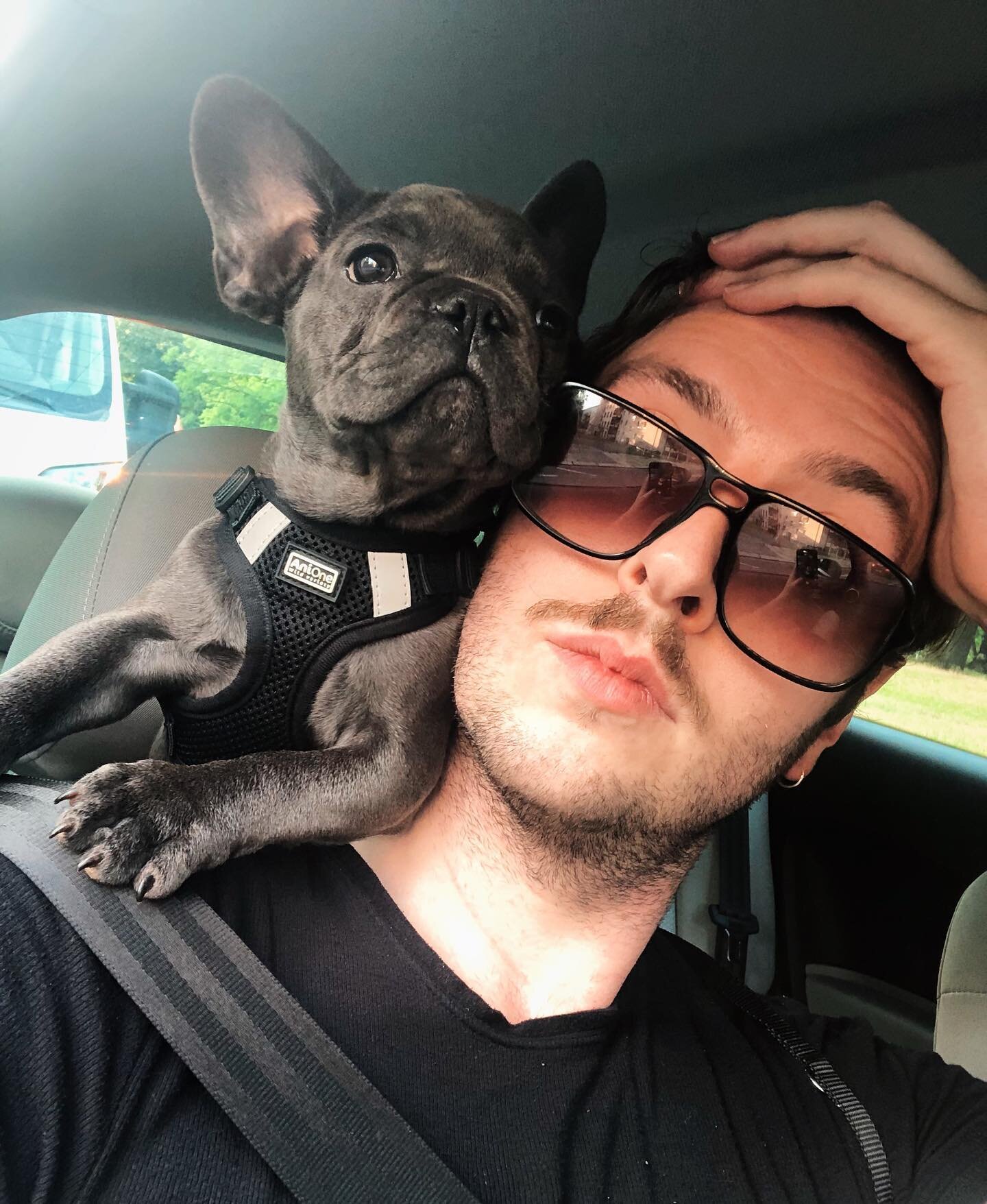 &ldquo;Daddy, are we there yet...?&rdquo; 🚗👽😂 #roadtrip #copilot #cockpit #adventure #siegmund #ziggy #babyboy #puppy #blue #frenchie #frenchiegram #instafrenchie #frenchiesofinstagram #frenchbulldog #frenchbulldogsofinstagram #französischebulldo