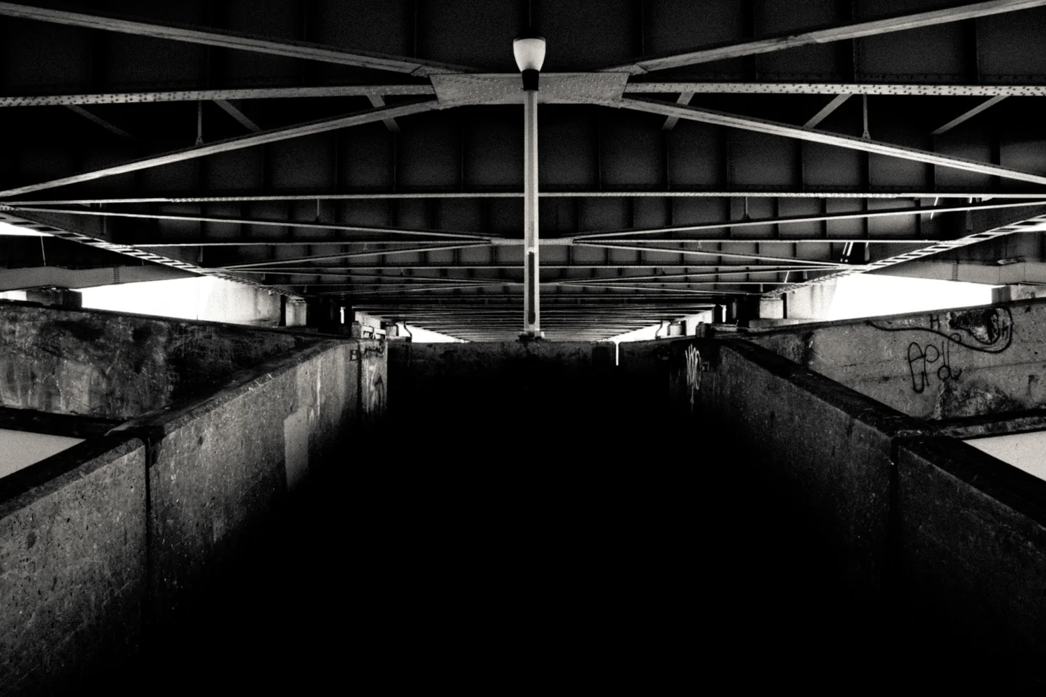 the forking path_2018.jpg