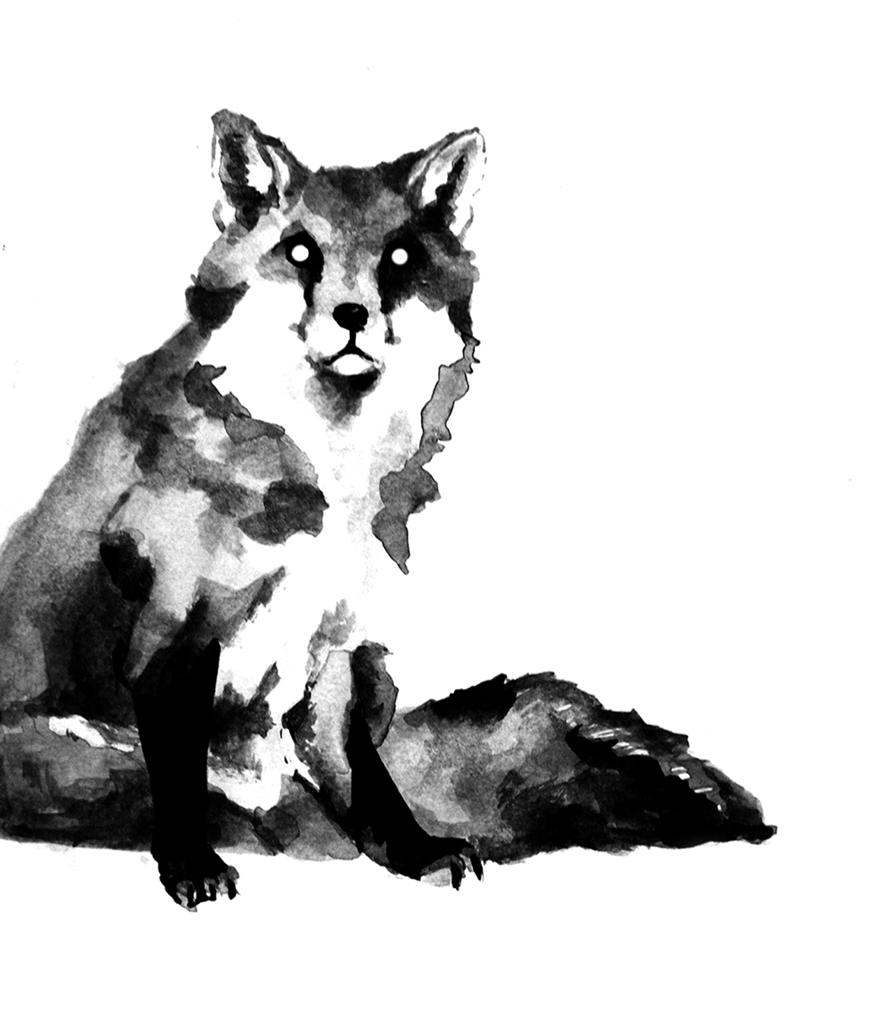 Ink Animal Series — Tina Furesz Illustration & Design
