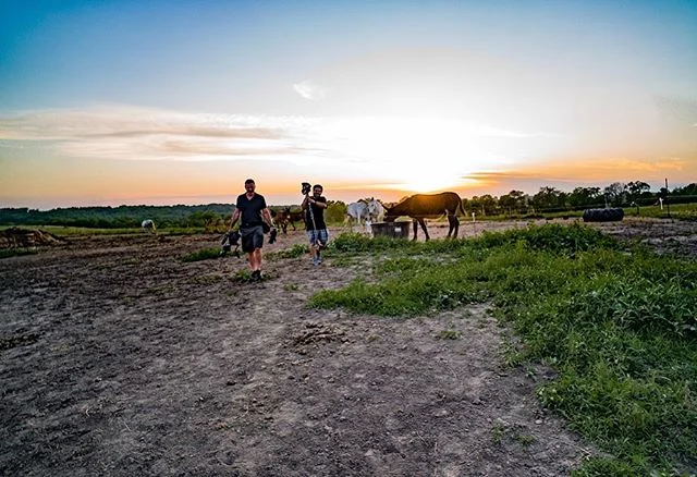 It’s been a great week driving through the Midwest, seeing the croplands in full bloom, and talking climate with farmers in Iowa and Nebraska 🙌 Our piece should air throughout the day tomorrow on #CNN as part of news coverage, and stay tuned for our