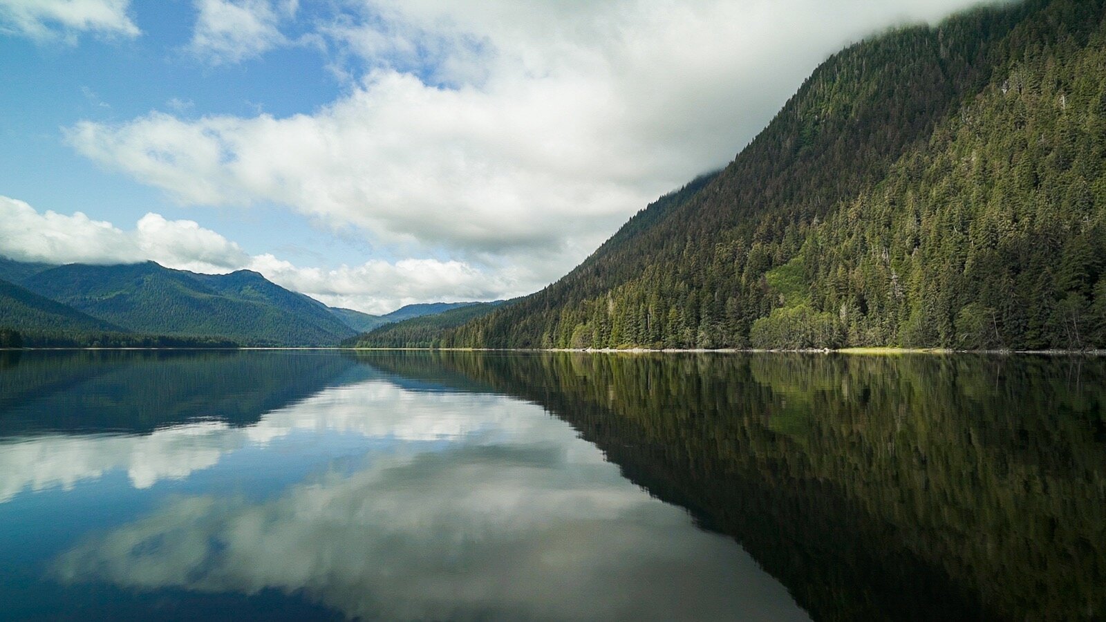 2019 - Tongass-1.jpg