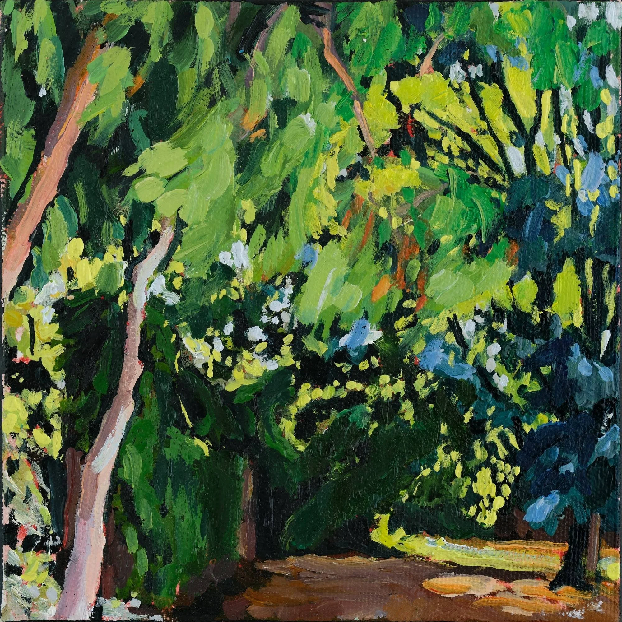 6x6 - Tree Kaleidoscope - Web Version.jpg