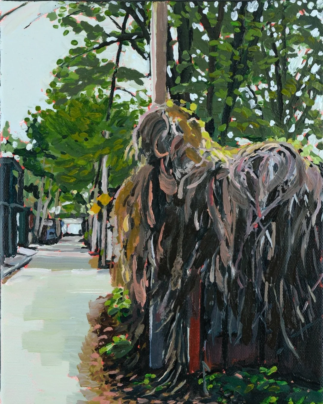 8x10 - A shaggy looking fence - website.jpg