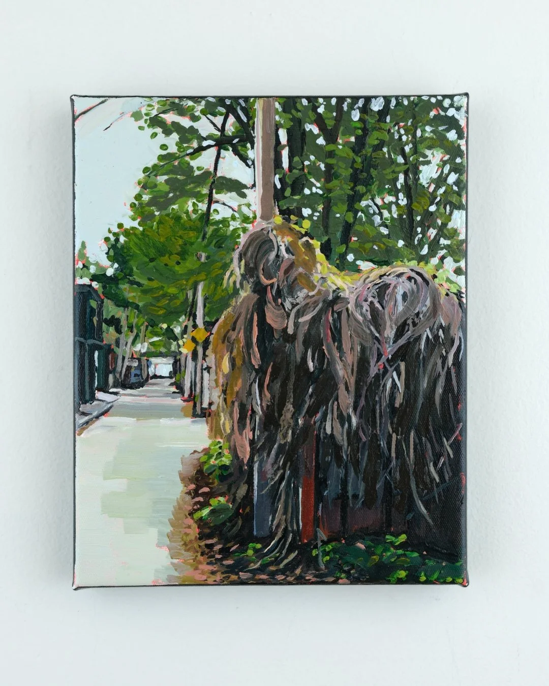 8x10 - A shaggy looking fence - with background.jpg