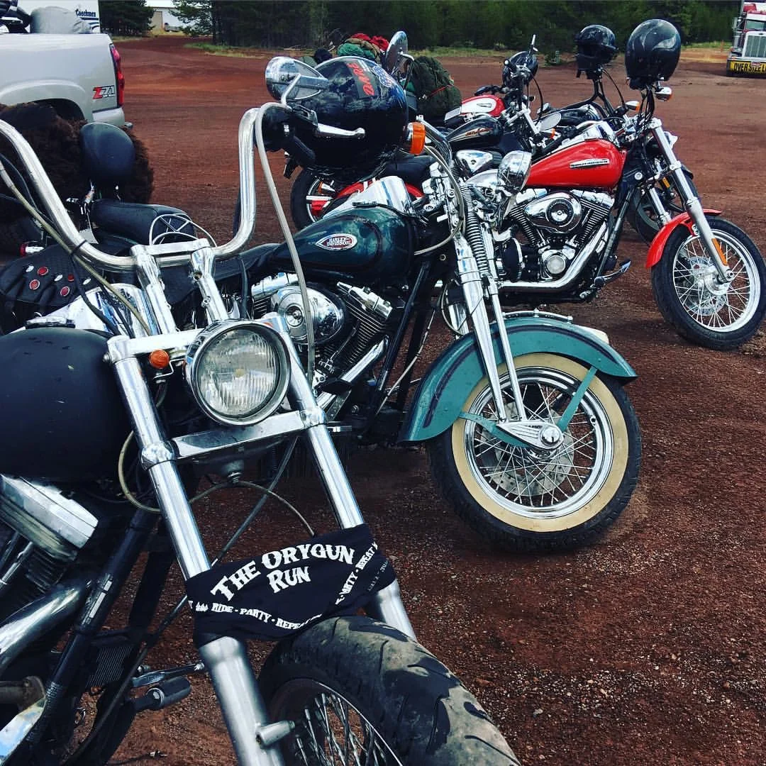 @thiswildlife_thisfreedom