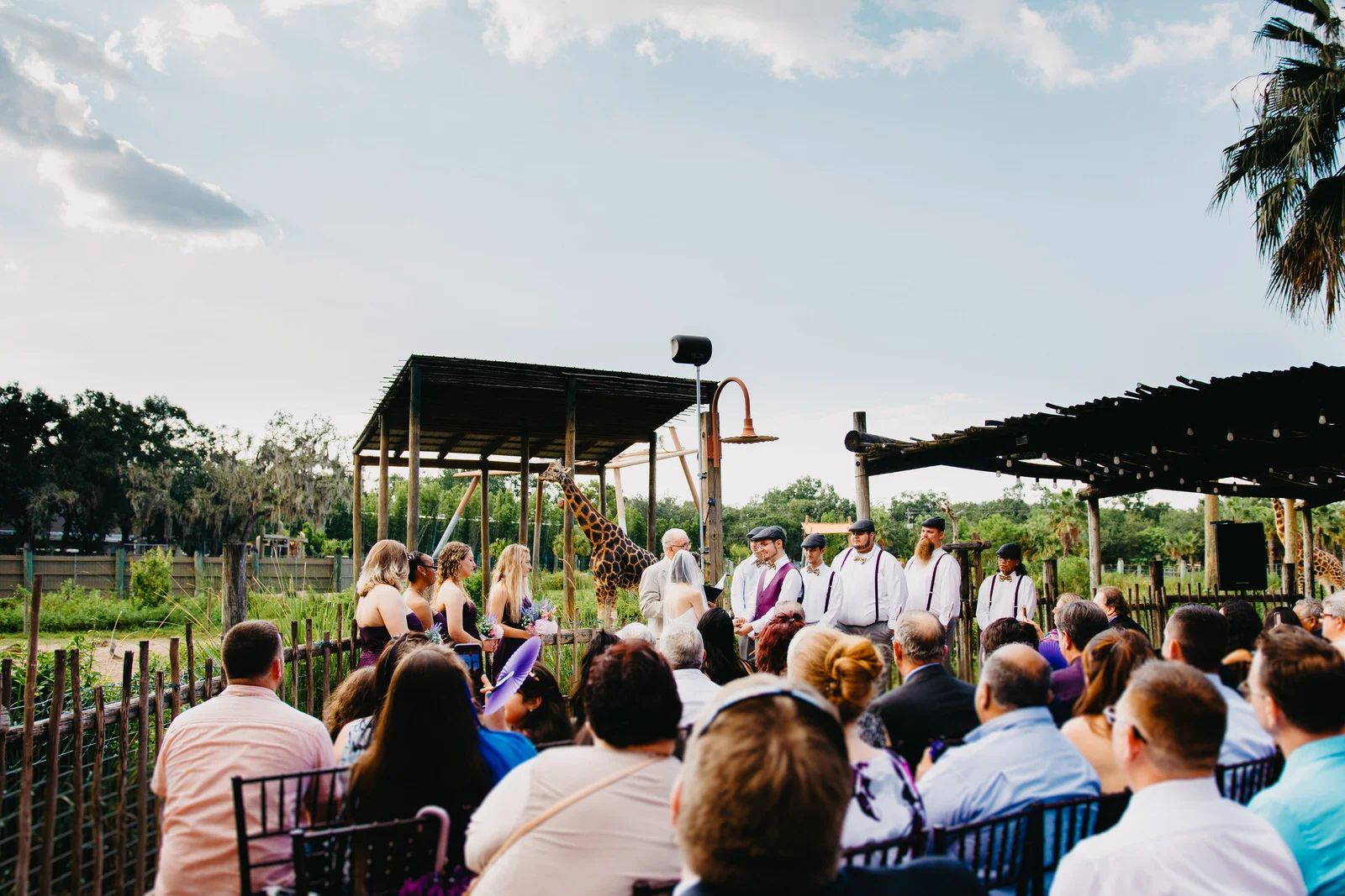 McNeile_Photography_Tampa.jpg