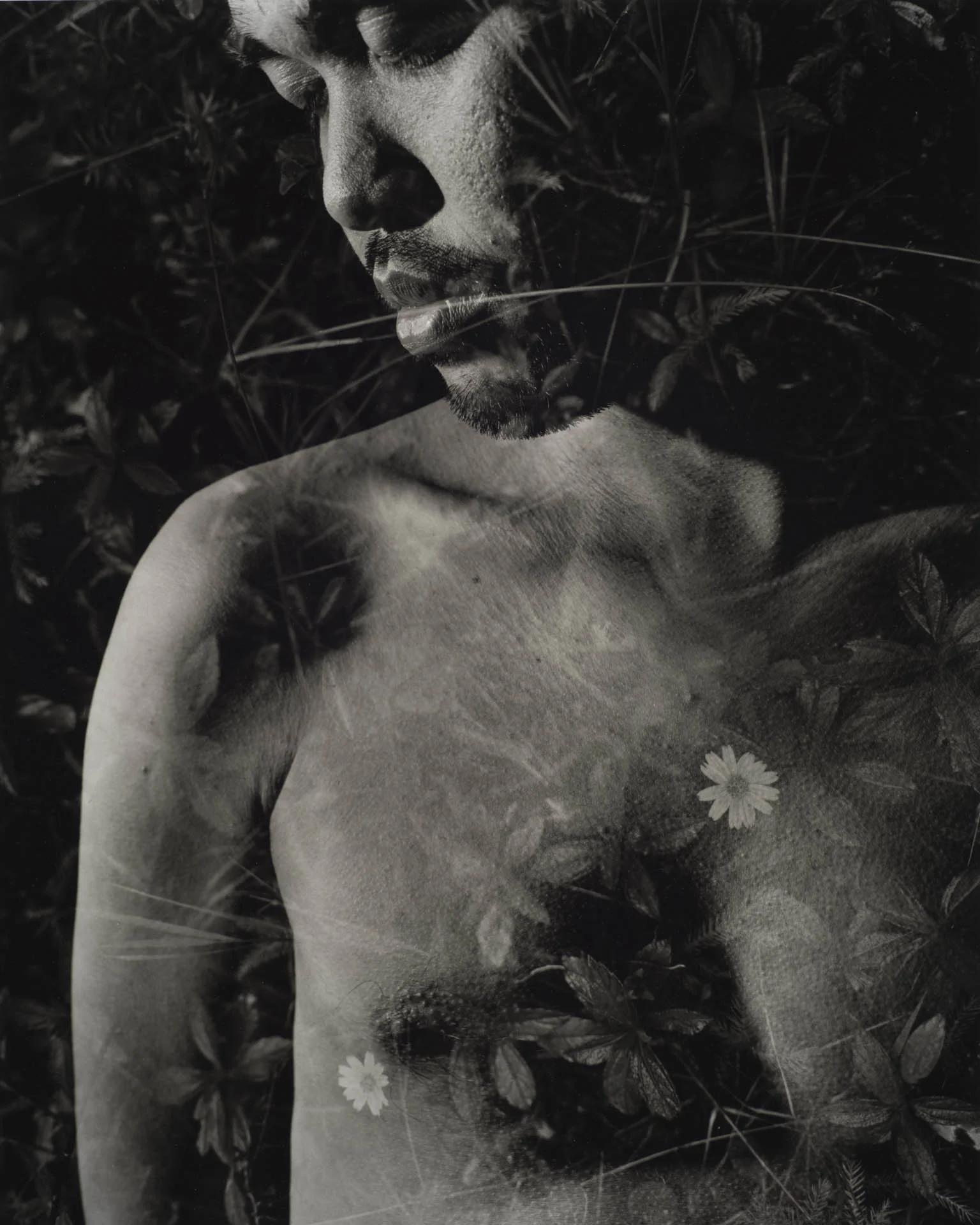  Paul, Silver Gelatin Print, 16" x 20" 