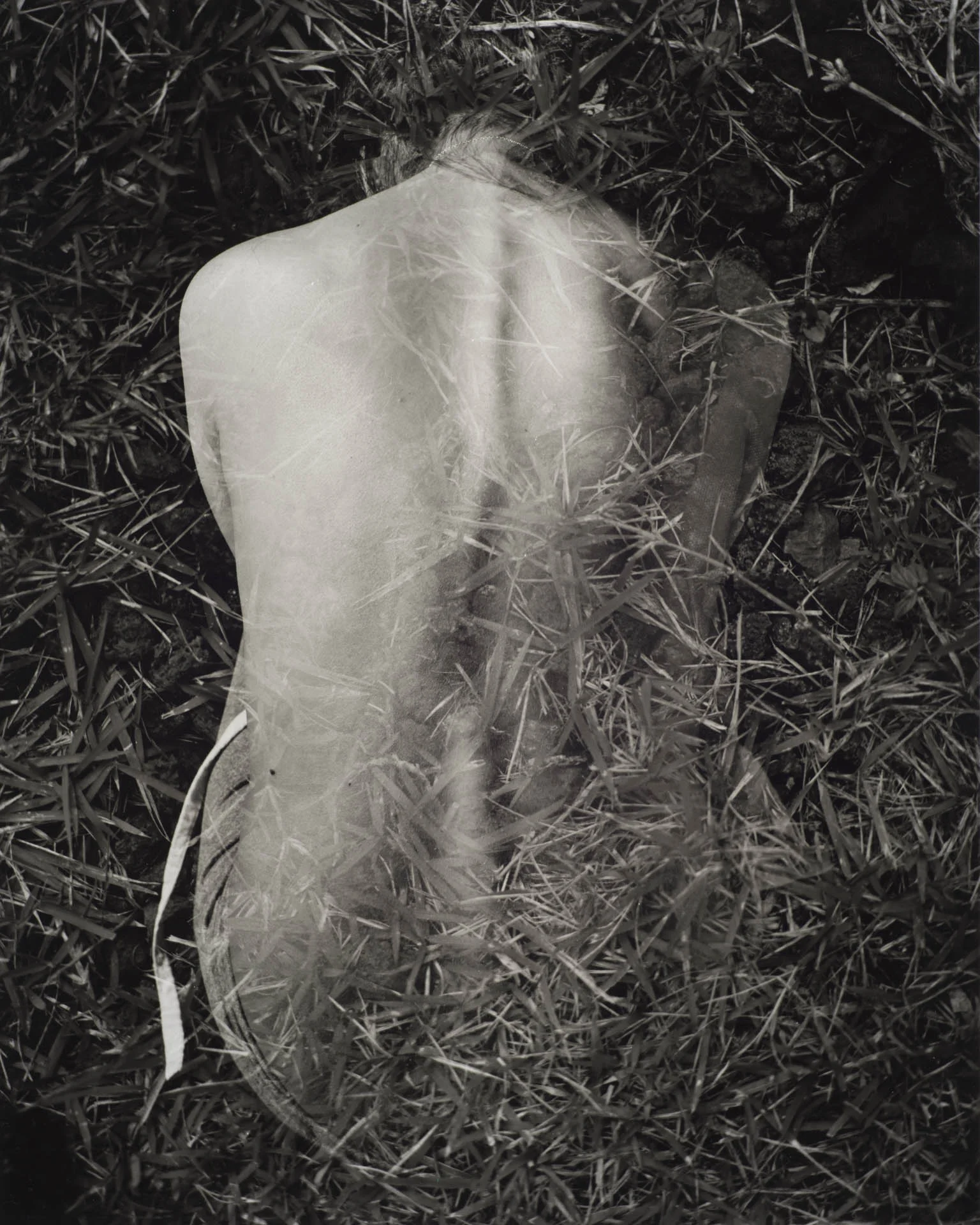  Imperfect, Silver Gelatin Print, 16" x 20" 