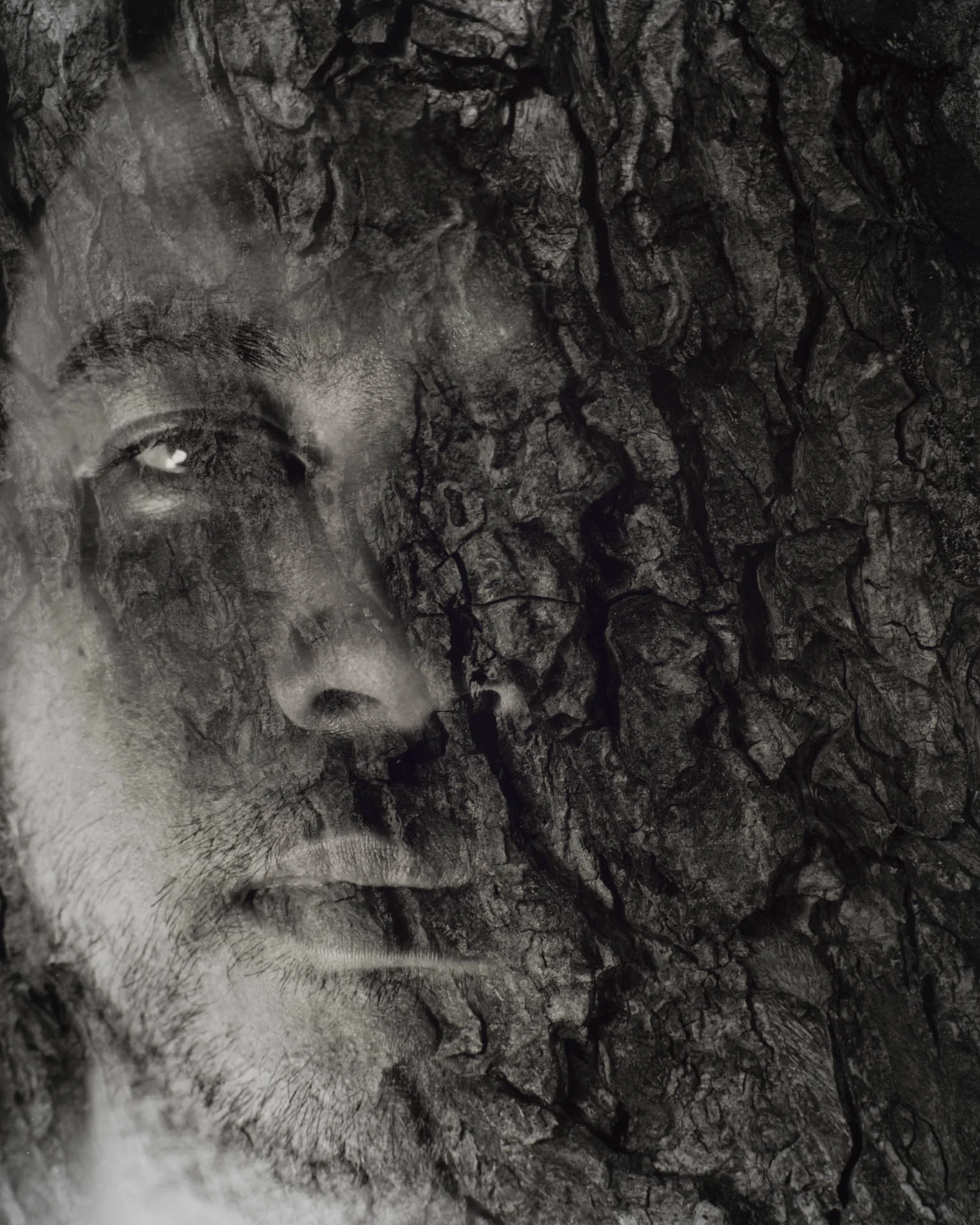  Half Man Half Bark,&nbsp;Silver Gelatin Print, 16" x 20" 