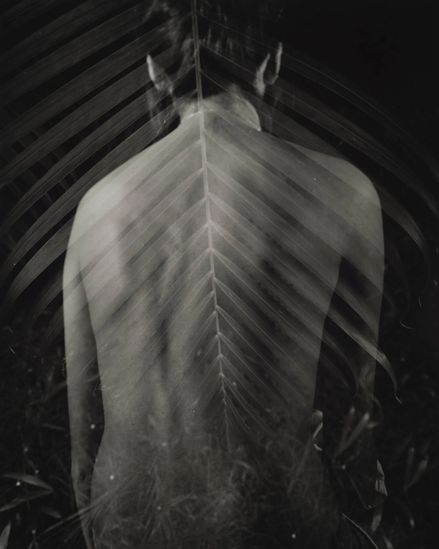  Misaligned,&nbsp;Silver Gelatin Print, 16" x 20" 