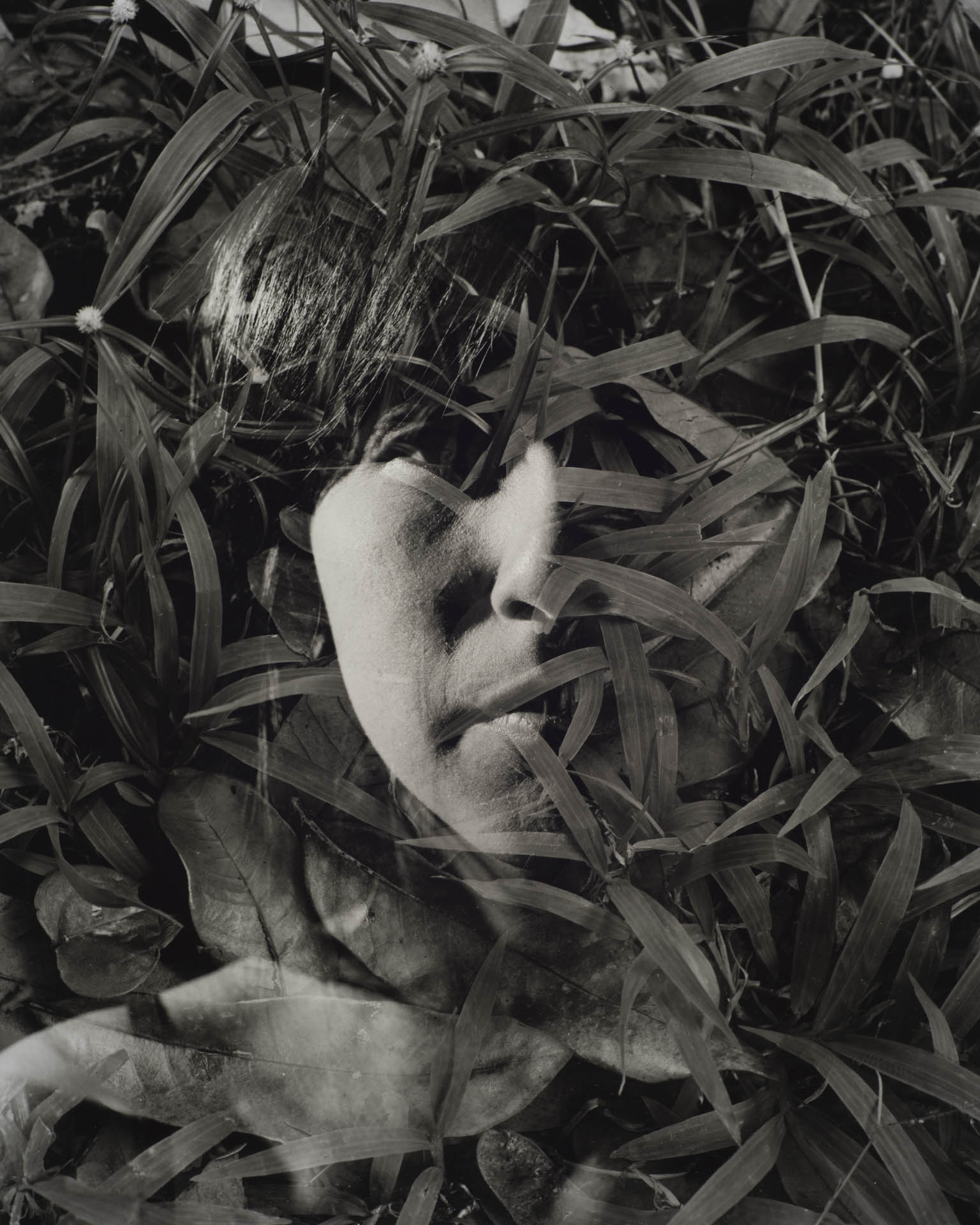  Girl Consumed in Grass,&nbsp;Silver Gelatin Print, 16" x 20" 
