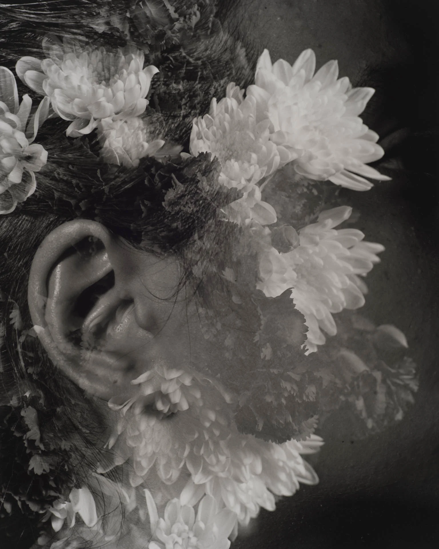  Ear Accessory,&nbsp;Silver Gelatin Print, 16" x 20" 