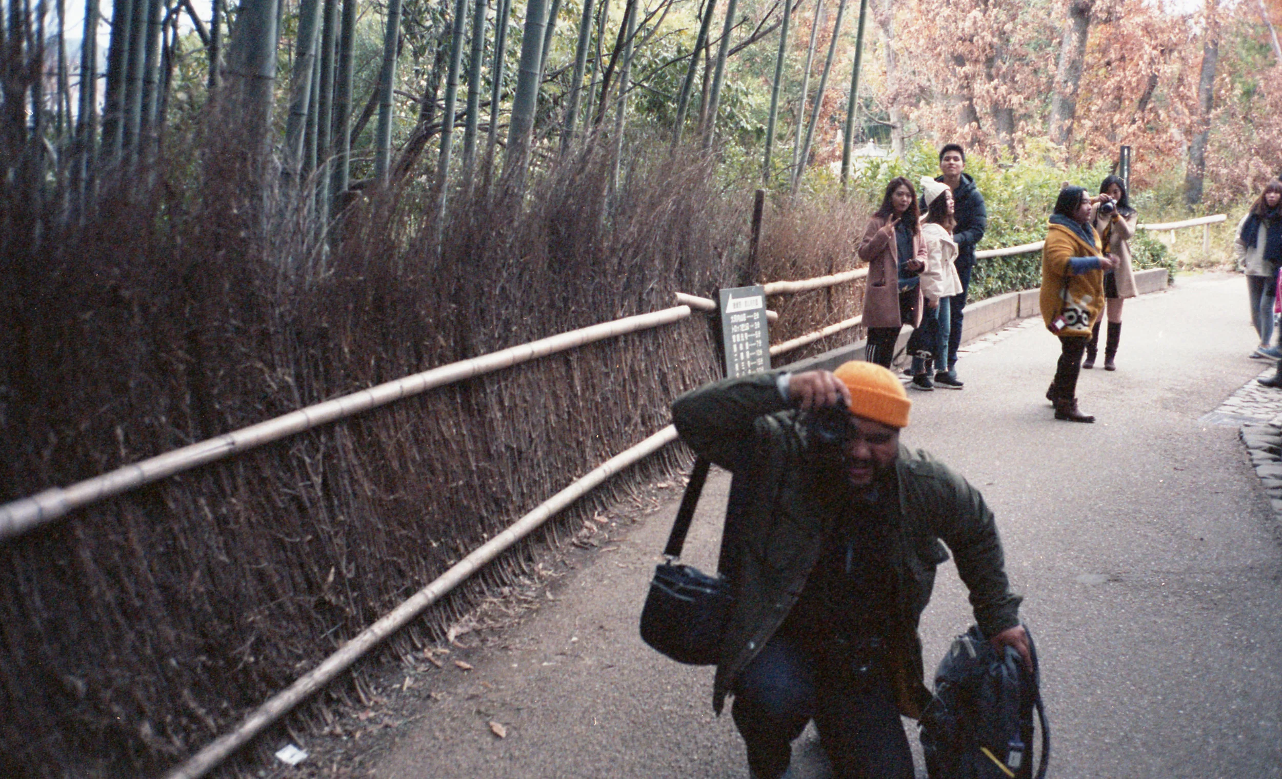 KodakPortra_400_008.jpg