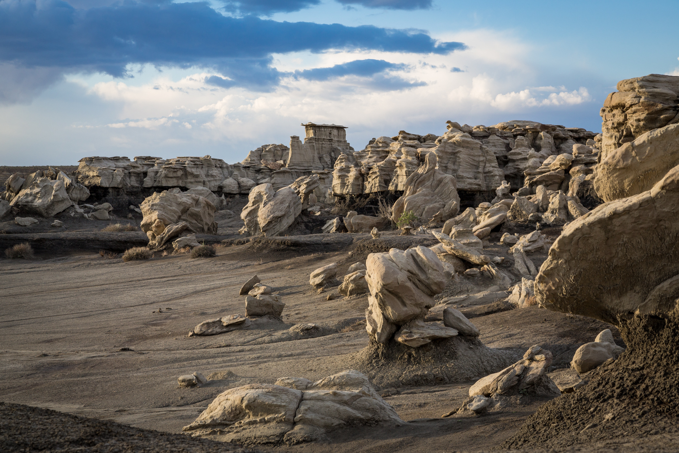 Bisti