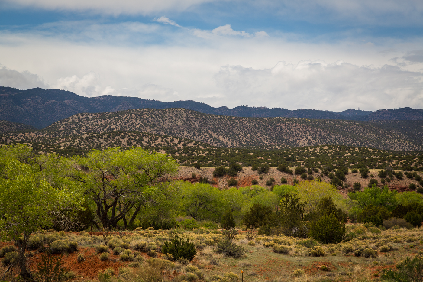 Desert Colors