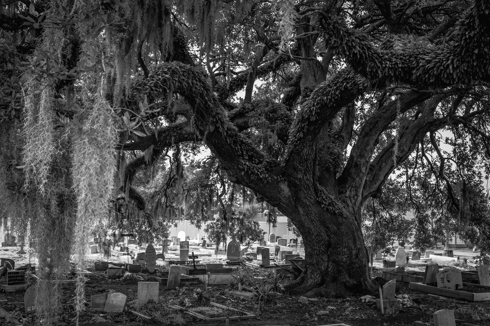 Holt Cemetery