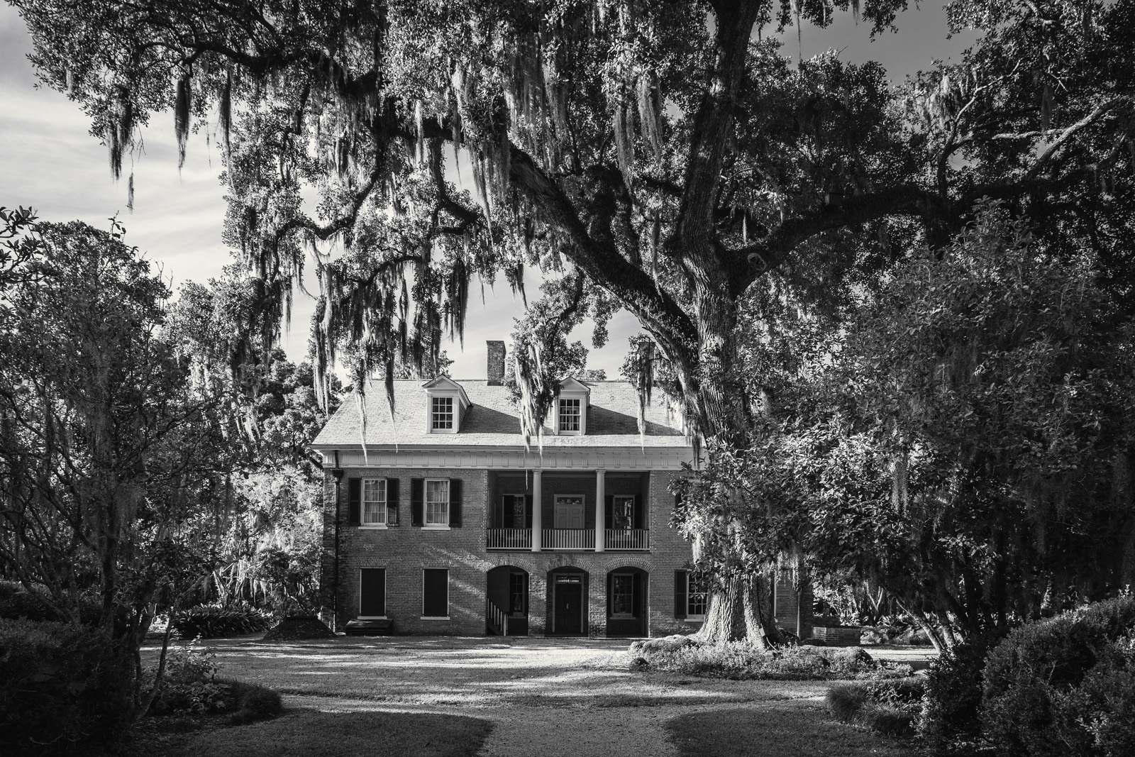 Shadows on the Teche