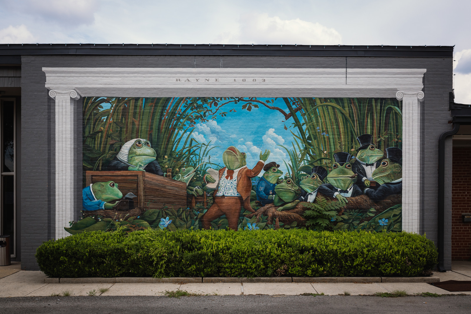 Frog Capital