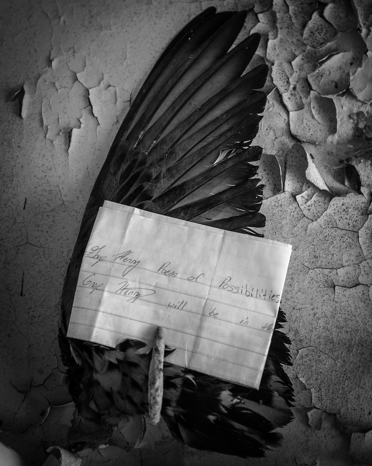 Letters to St. Roch