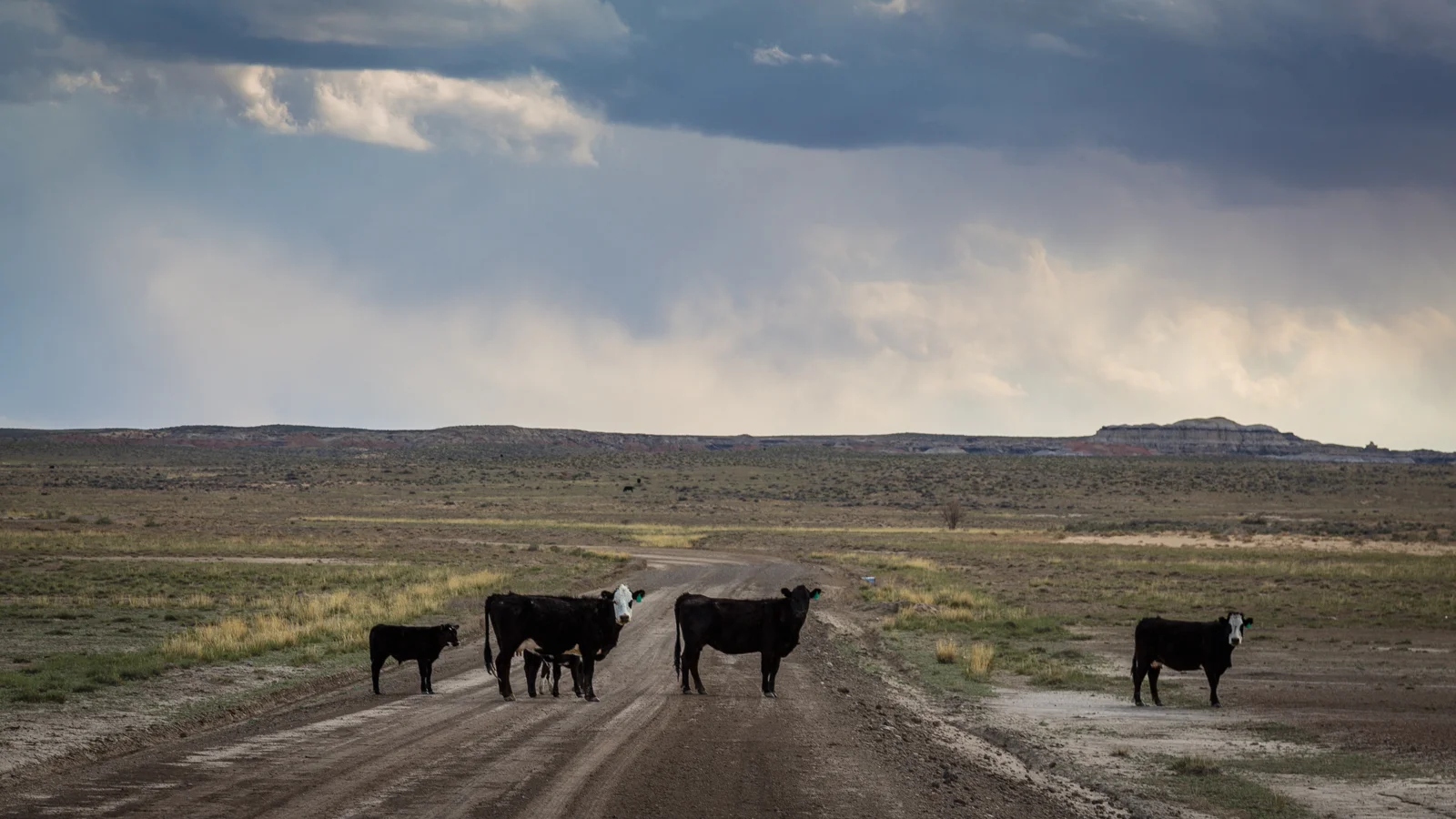 New Mexico Road Block