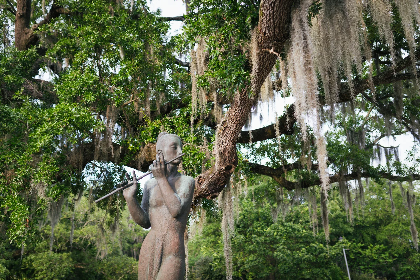 IMG_9863.jpg
