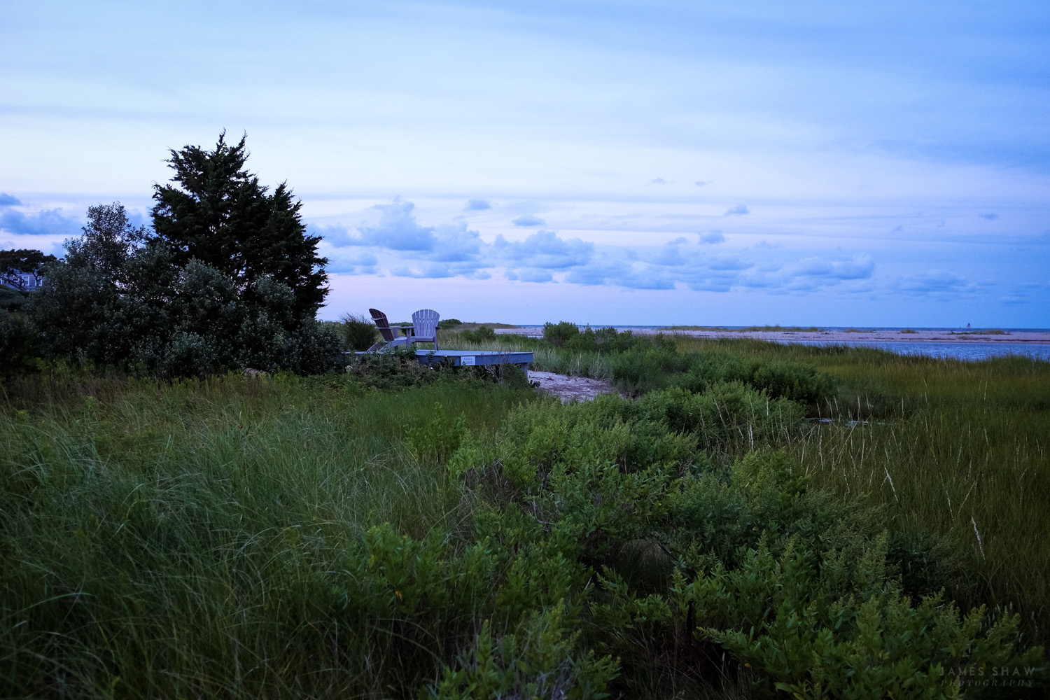 DSCF3121.jpg